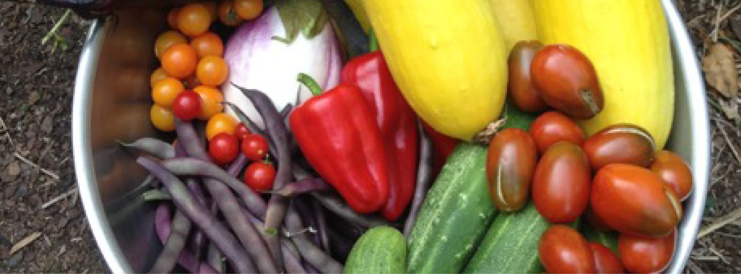veggies.jpg