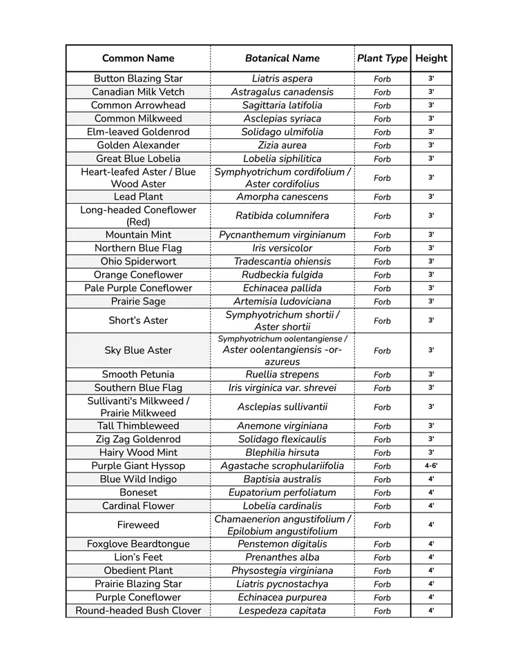 Natives HEIGHTS — Mother Earth Gardens