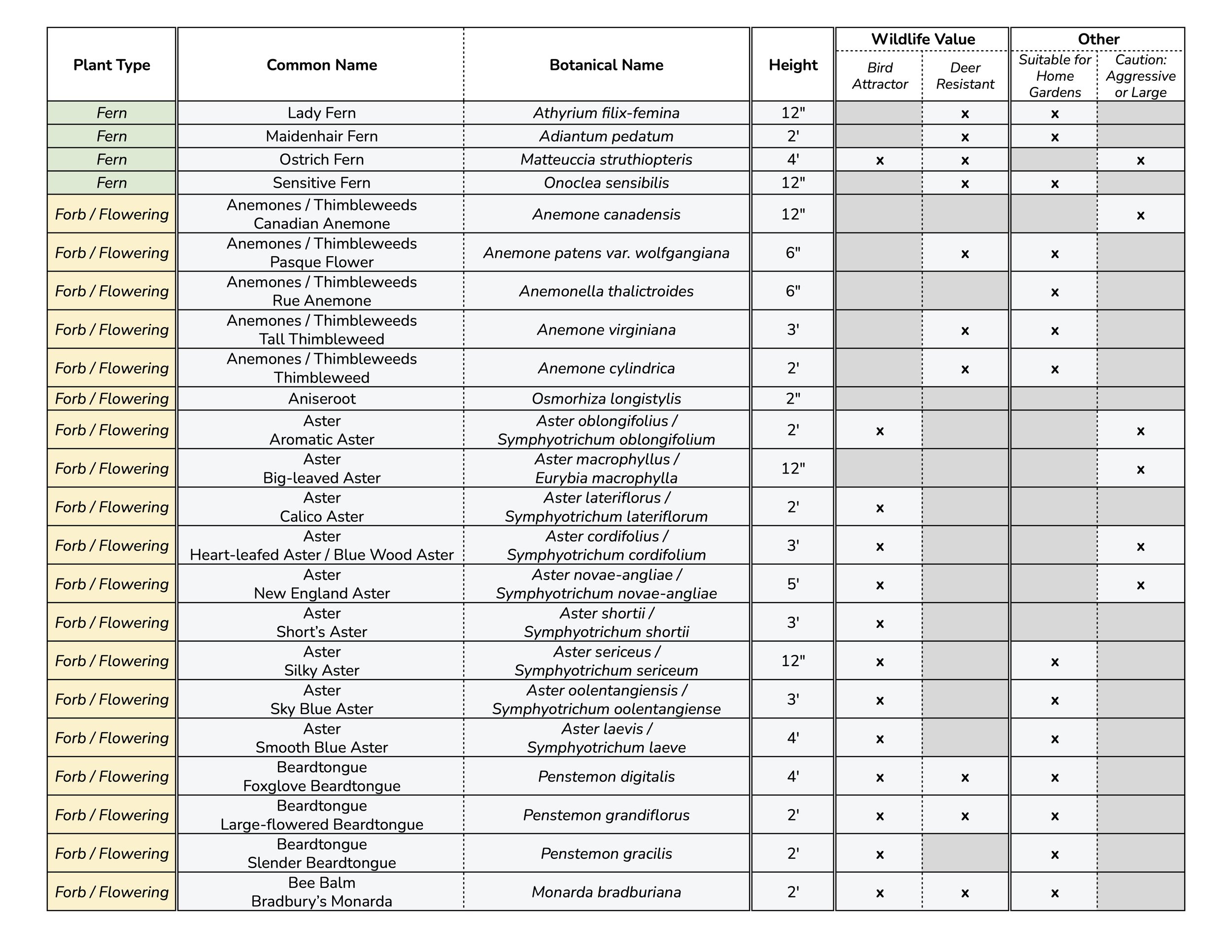 Alphabetized Common Name 1.jpg