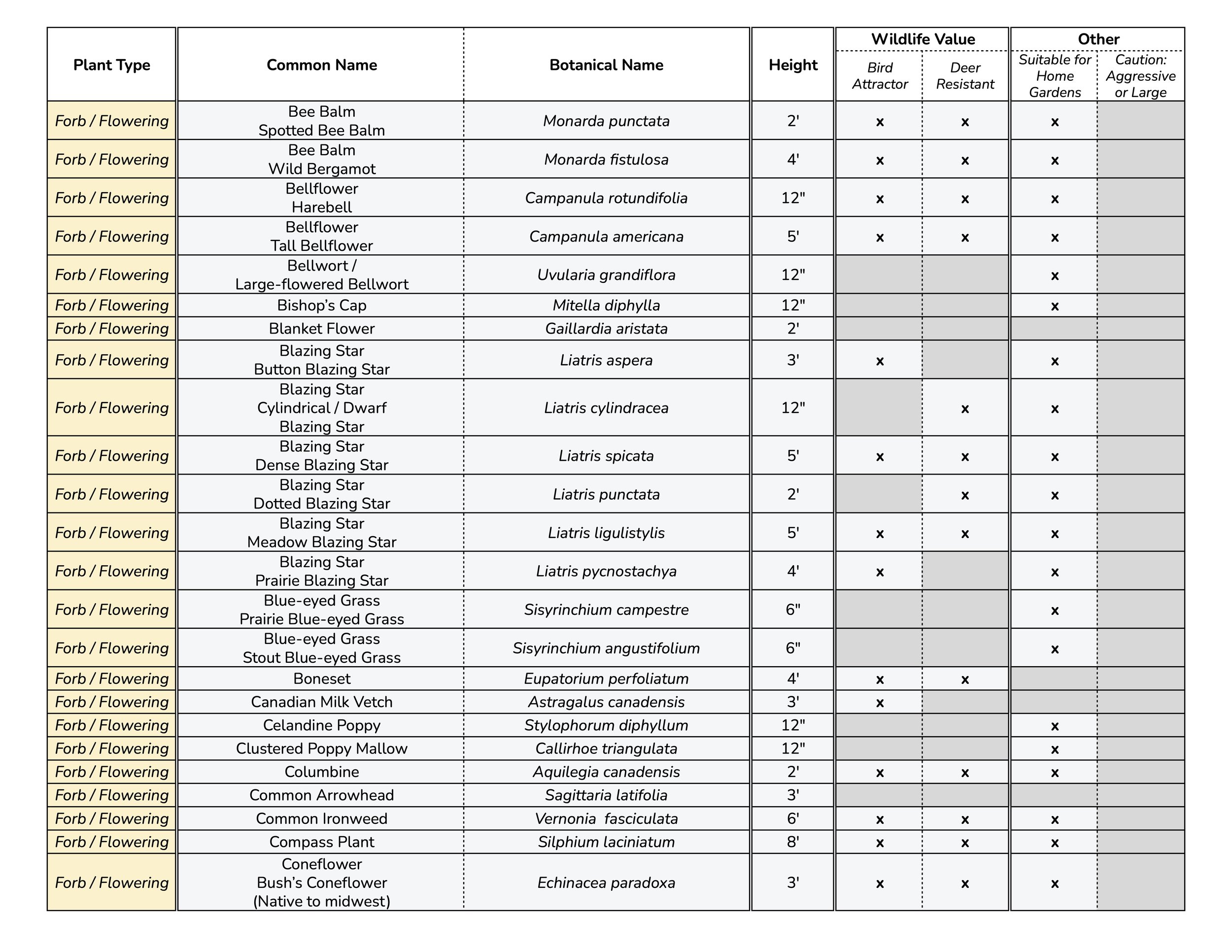 Alphabetized Common Name 2.jpg