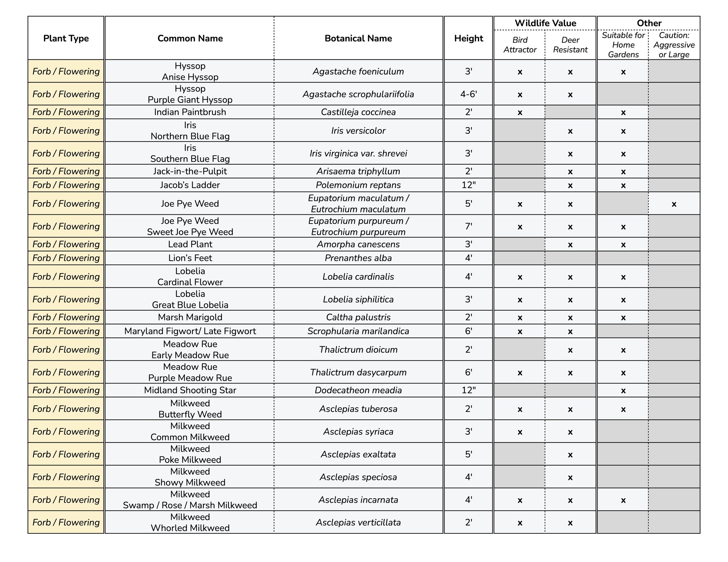 Alphabetized Common Name 4.jpg