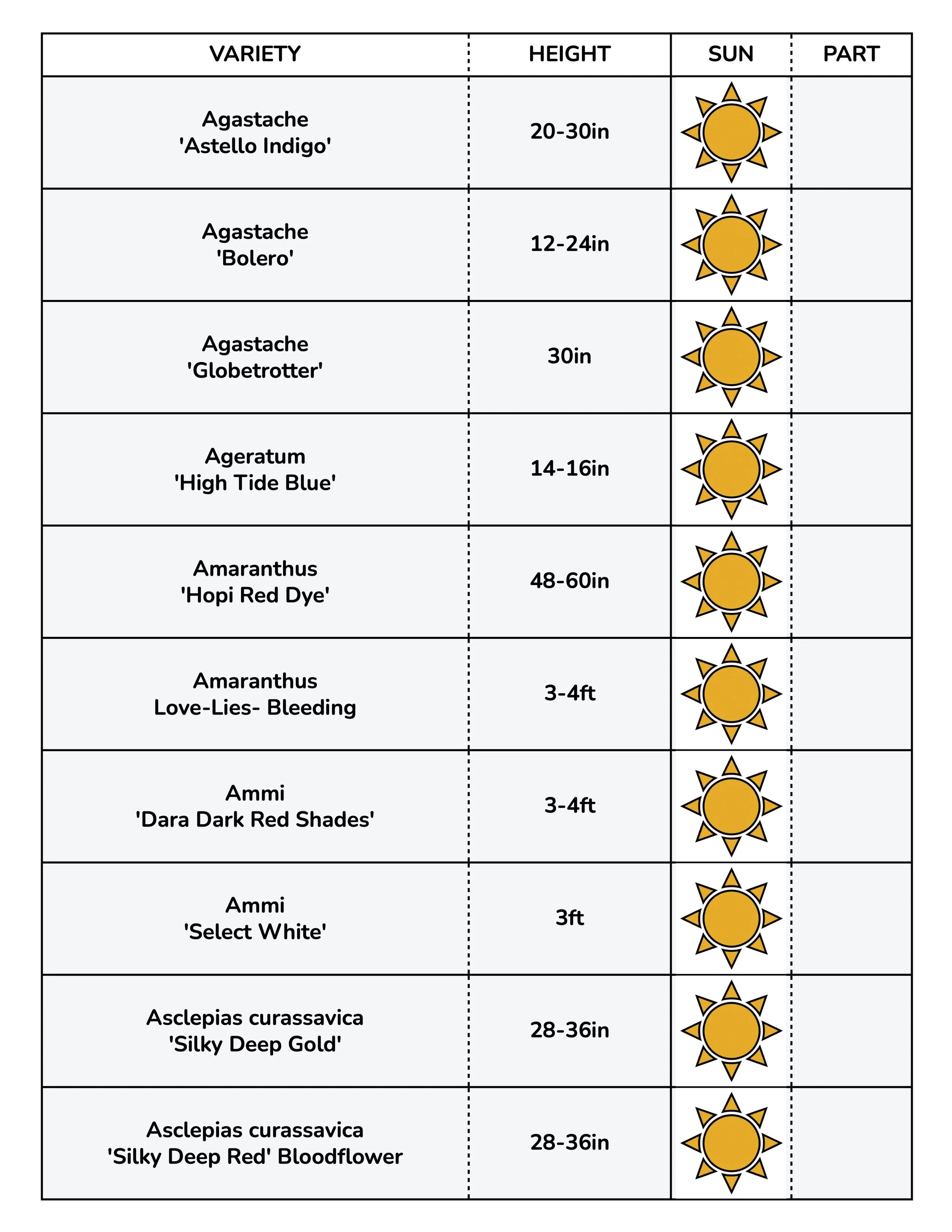 Border Gems for Web 2026 1.jpg