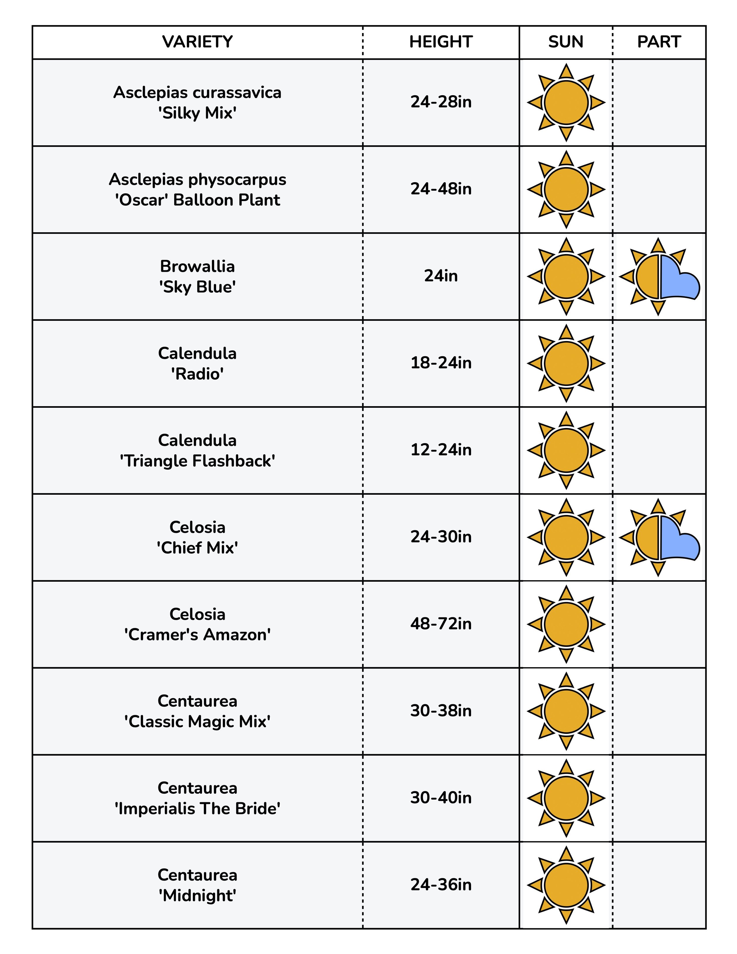 Border Gems for Web 2026 2.jpg