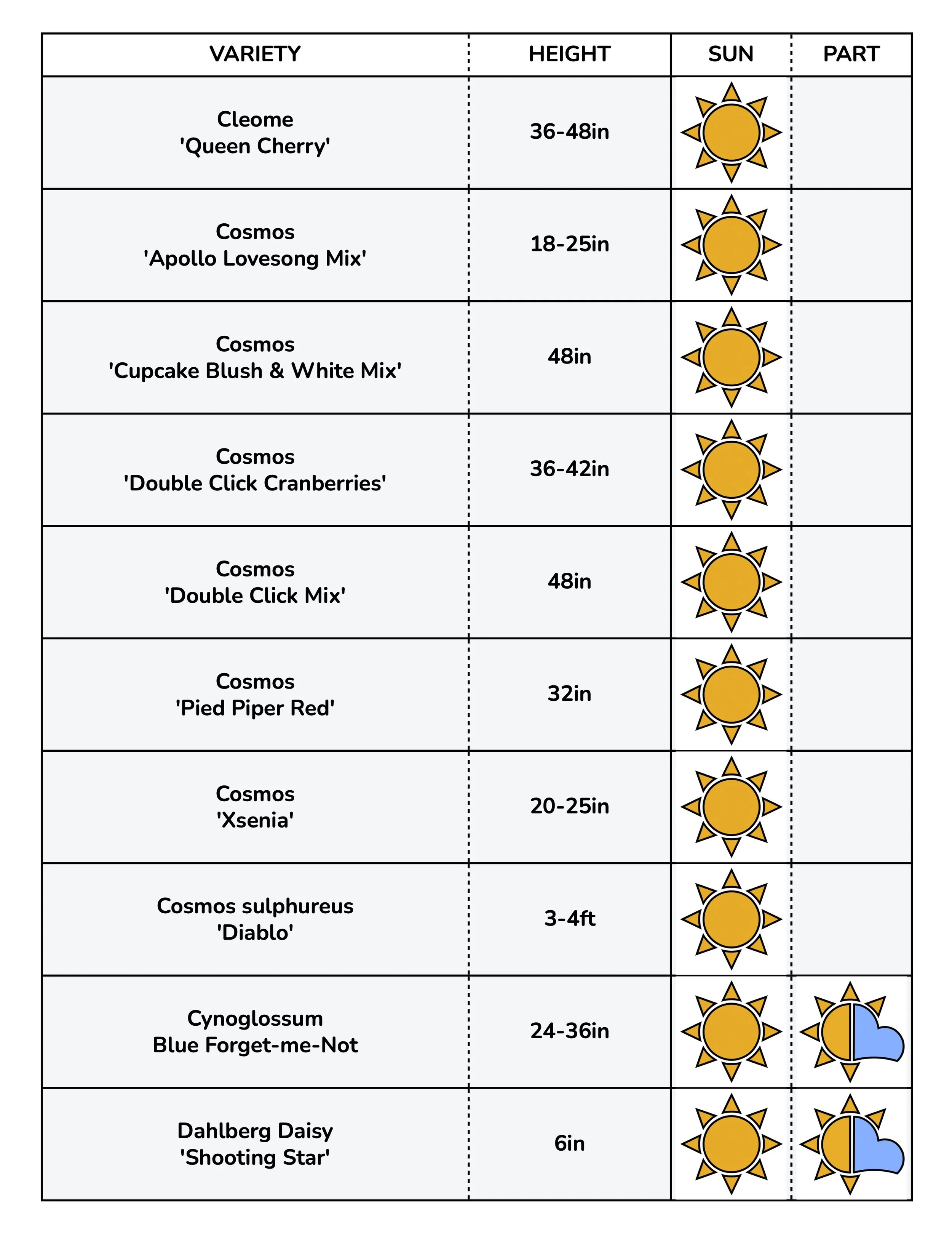 Border Gems for Web 2026 3.jpg