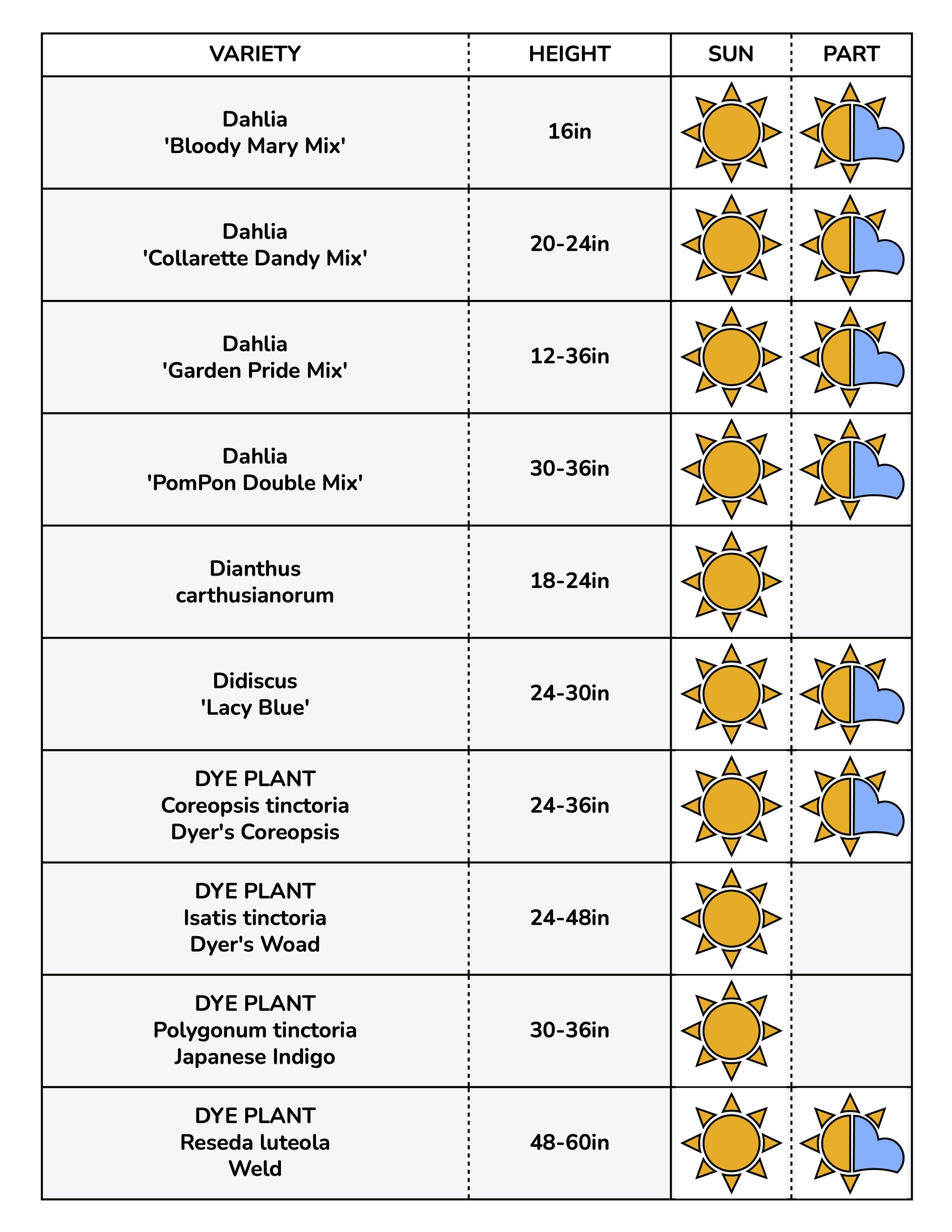 Border Gems for Web 2026 4.jpg