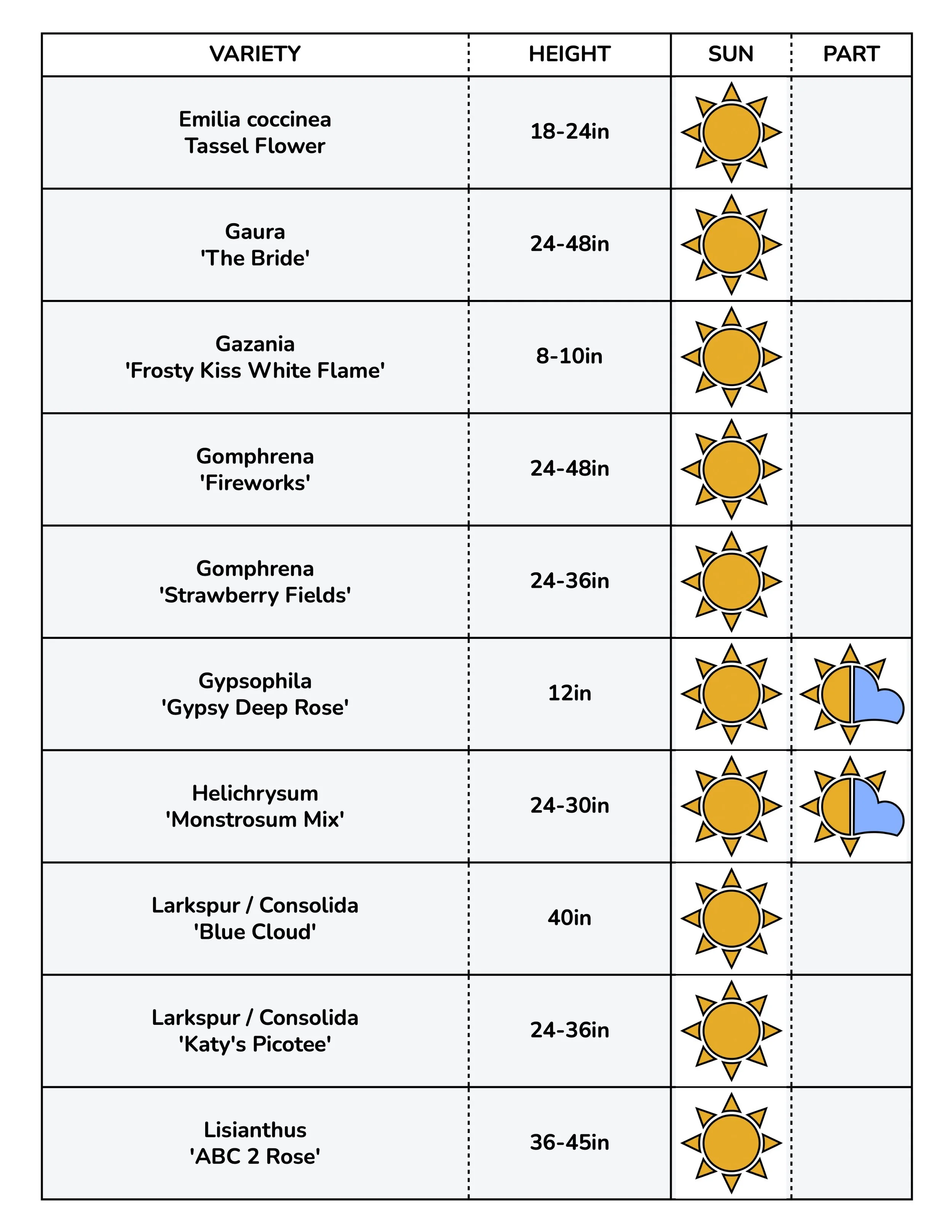 Border Gems for Web 2026 5.jpg