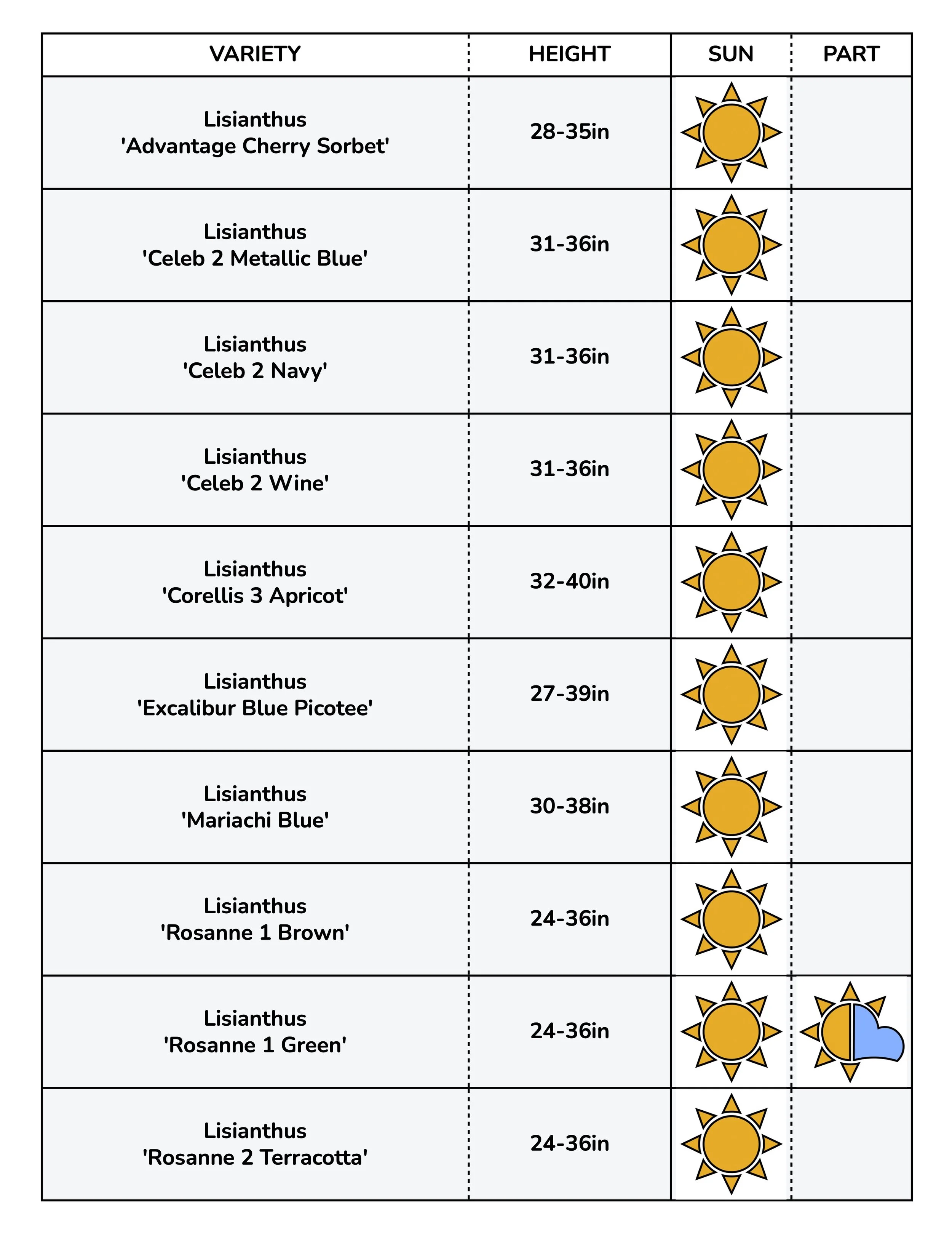 Border Gems for Web 2026 6.jpg