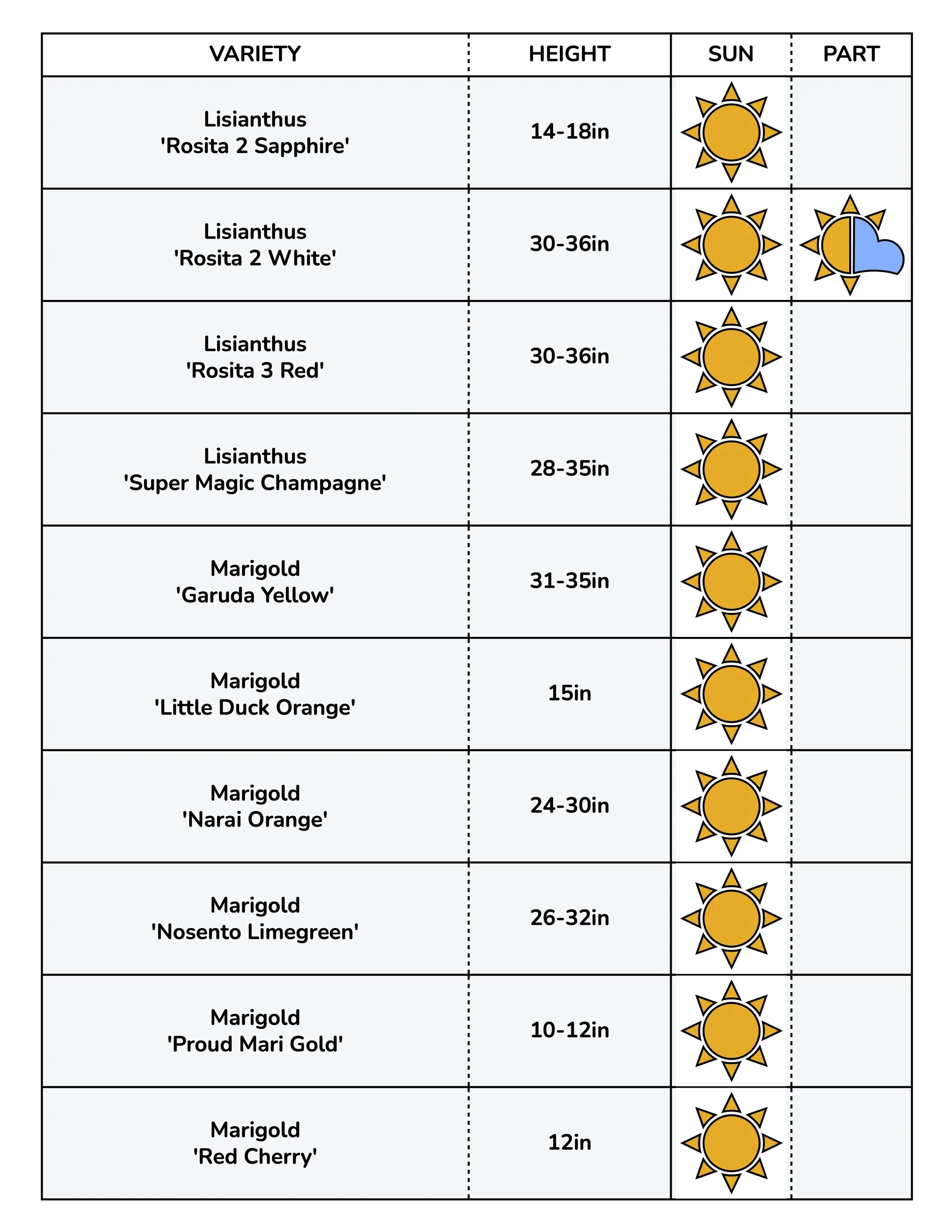 Border Gems for Web 2026 7.jpg