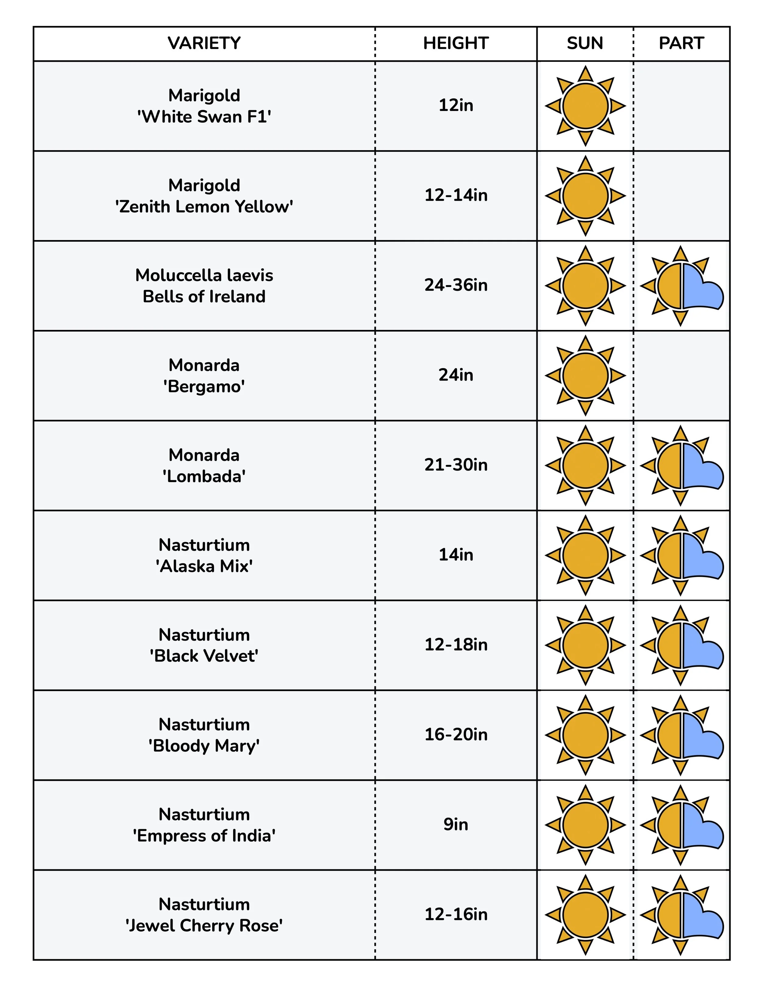 Border Gems for Web 2026 8.jpg