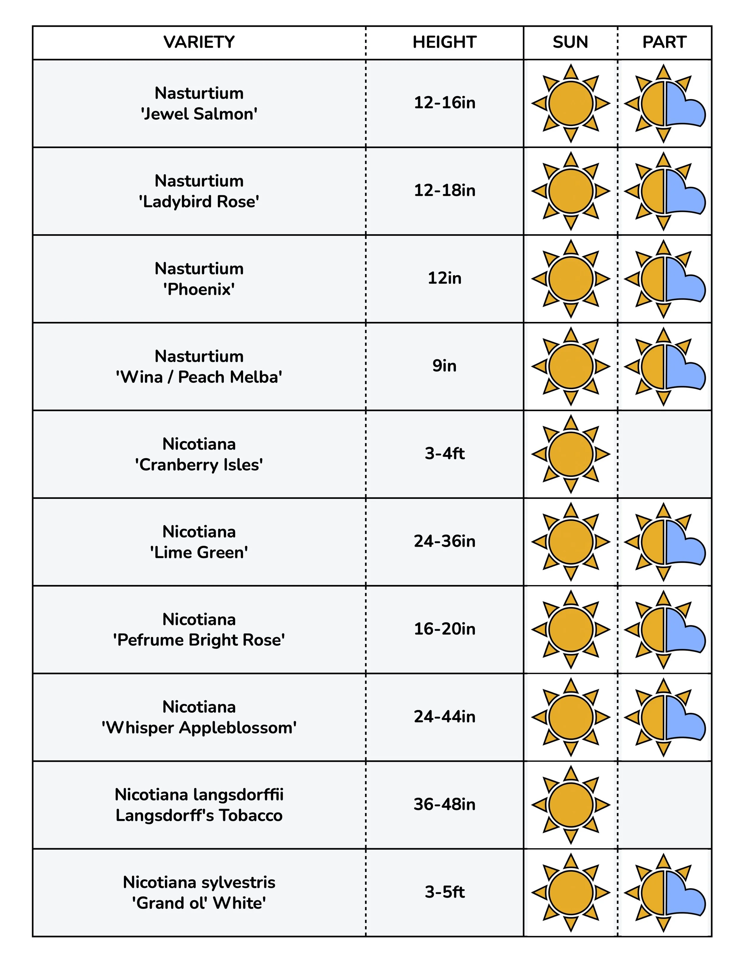 Border Gems for Web 2026 9.jpg