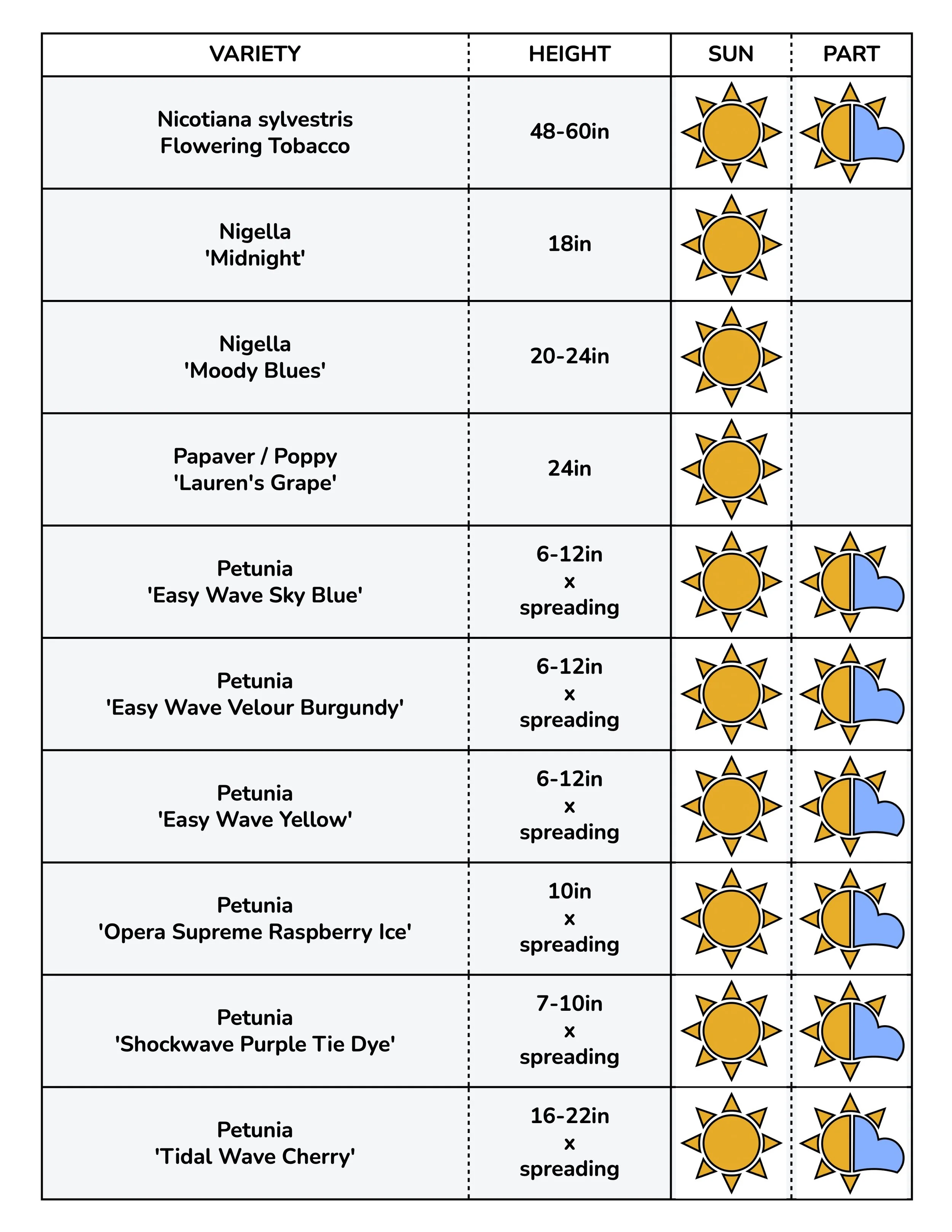 Border Gems for Web 2026 10.jpg