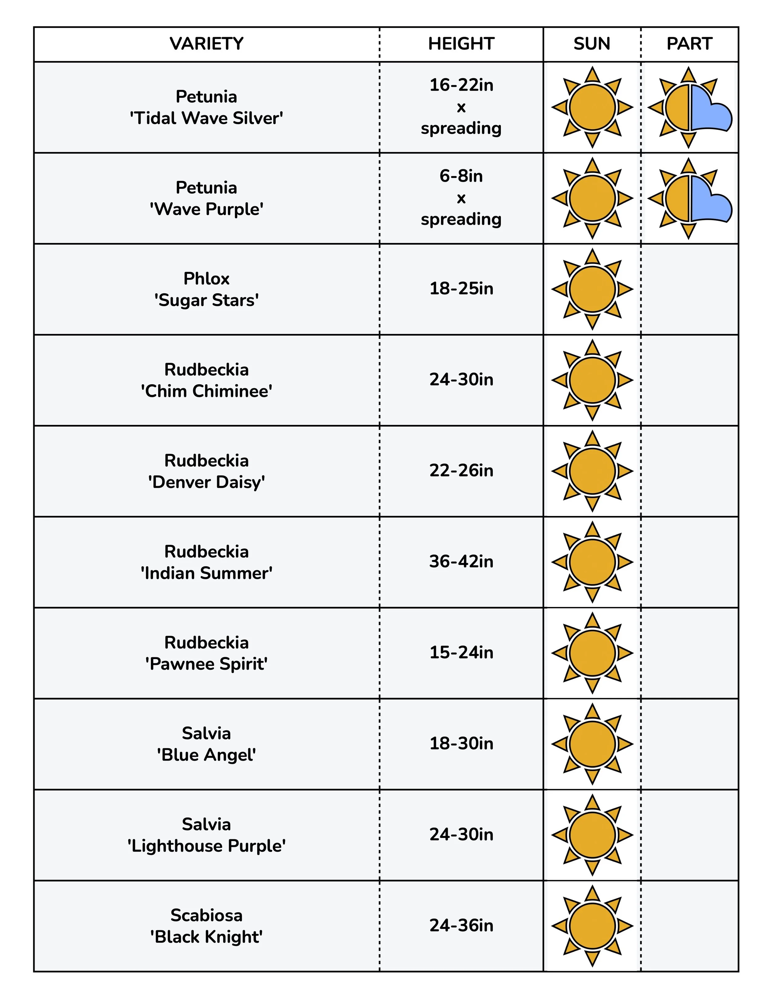 Border Gems for Web 2026 11.jpg