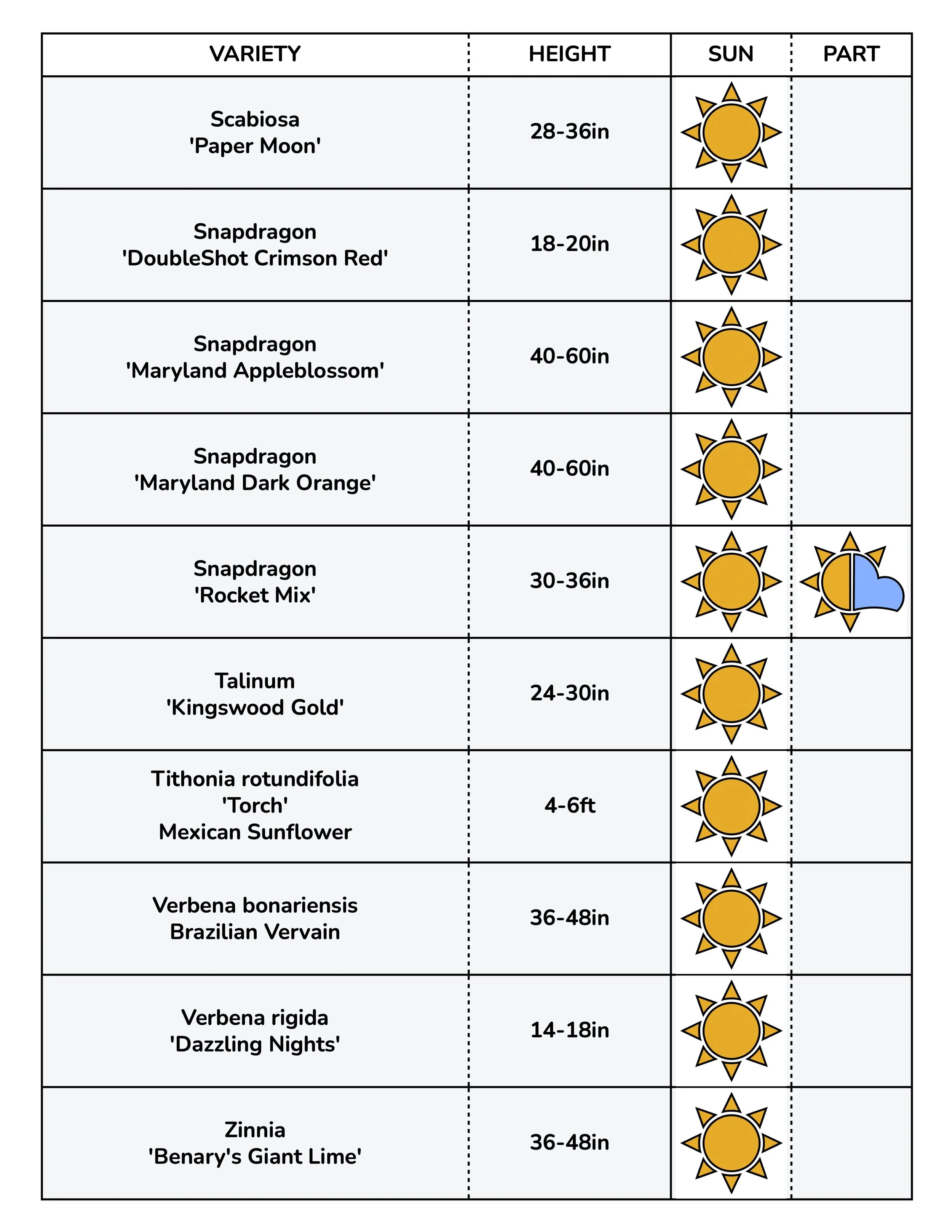 Border Gems for Web 2026 12.jpg