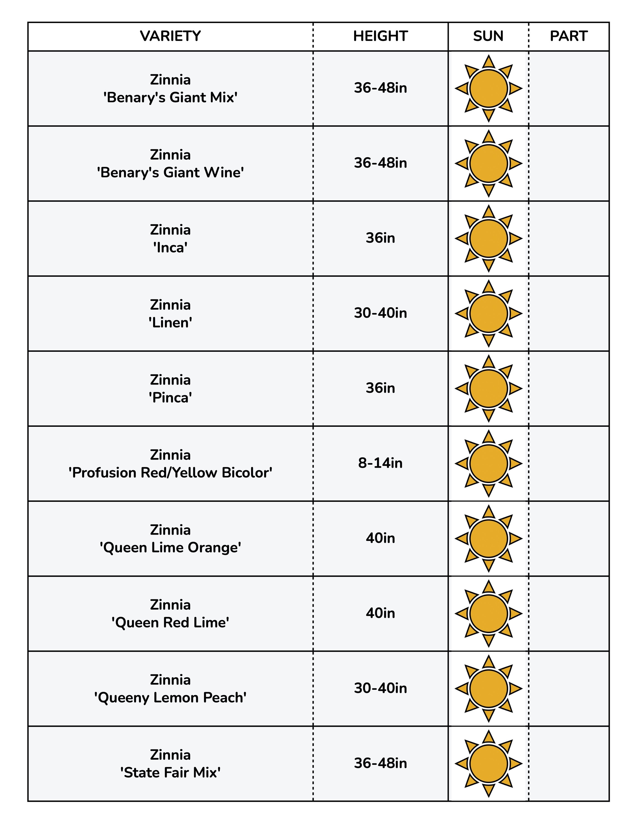 Border Gems for Web 2026 13.jpg