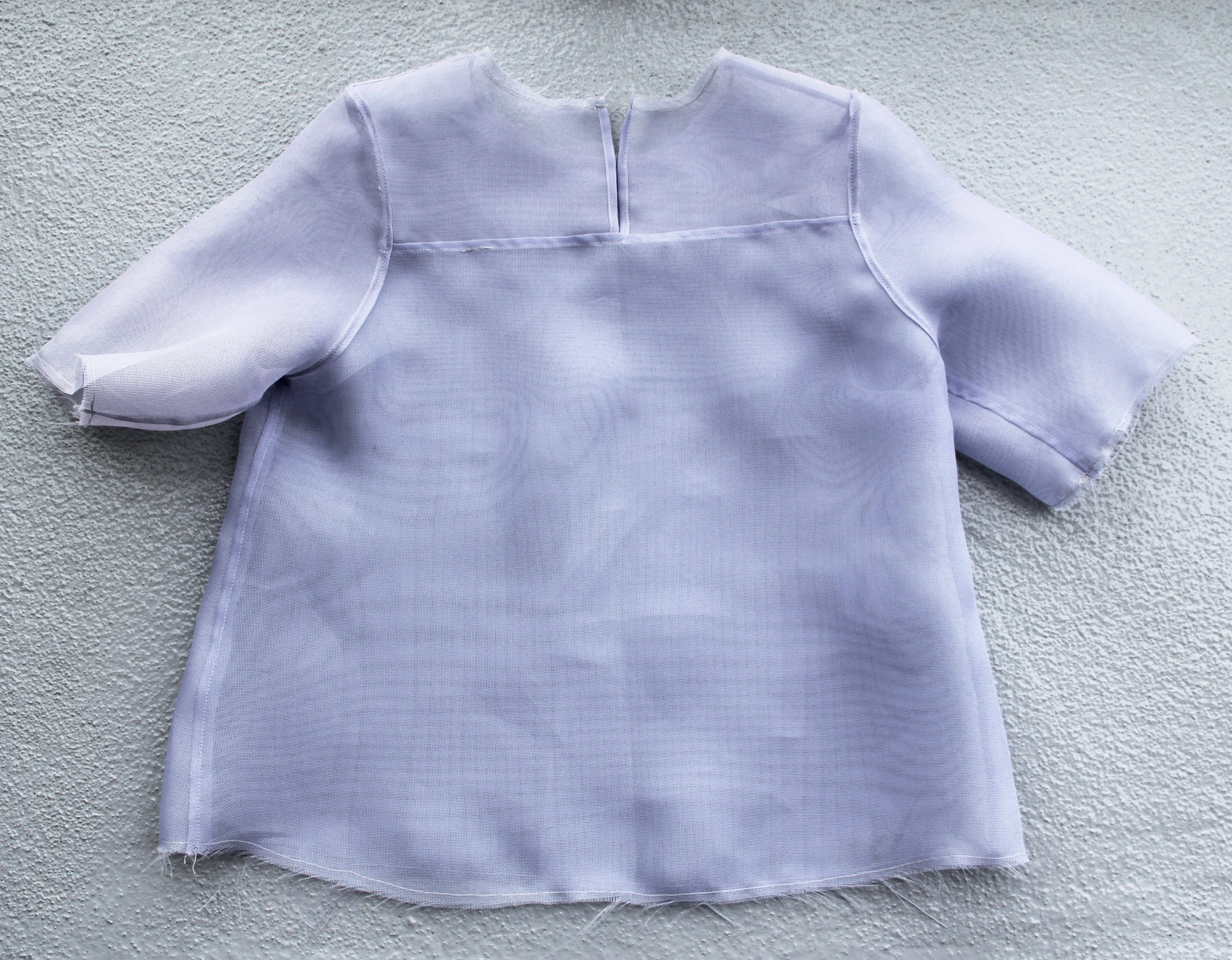 organza top-back.jpg