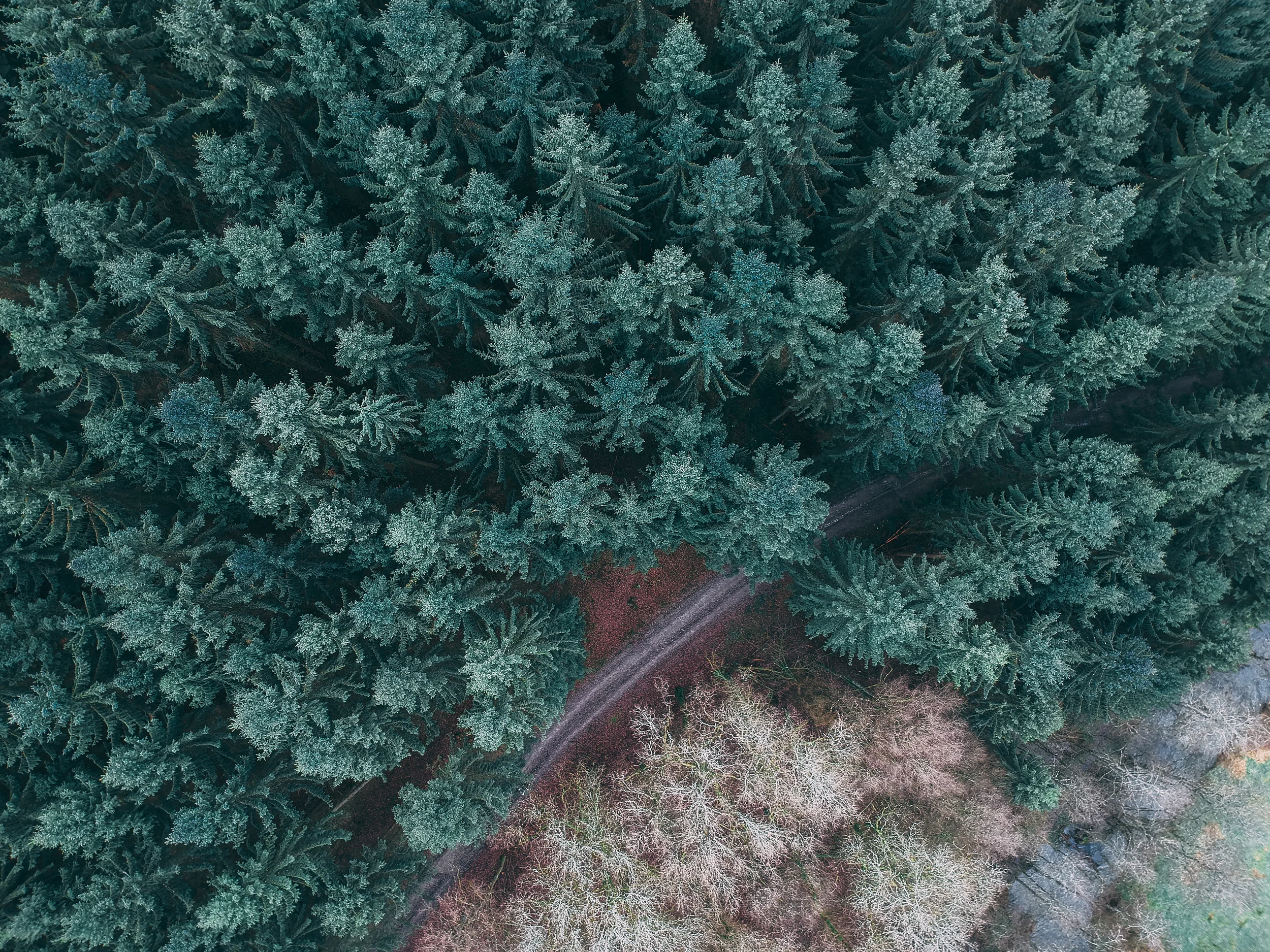 DCIM/100MEDIA/DJI_0642.JPG
