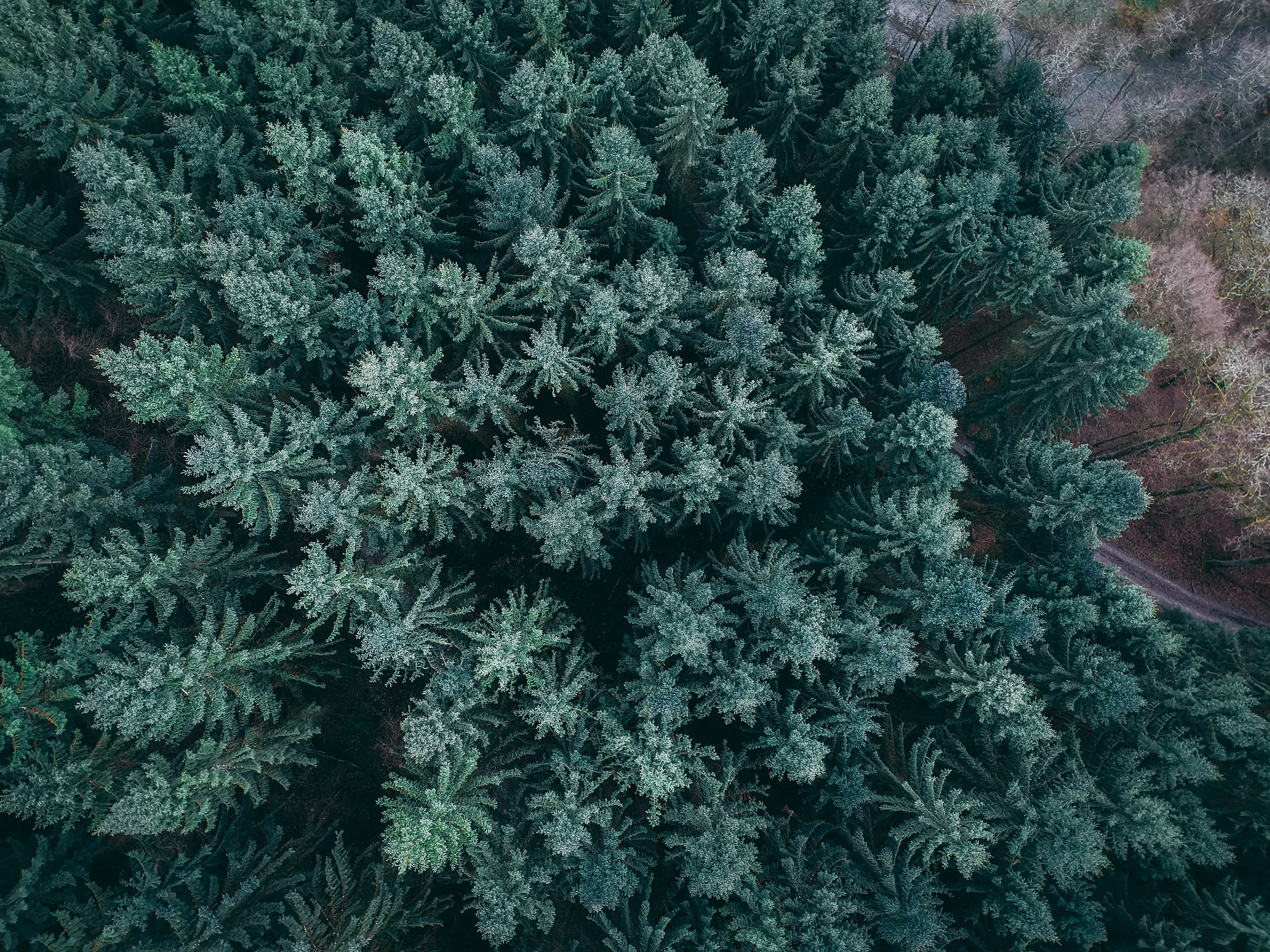 DCIM/100MEDIA/DJI_0624.JPG