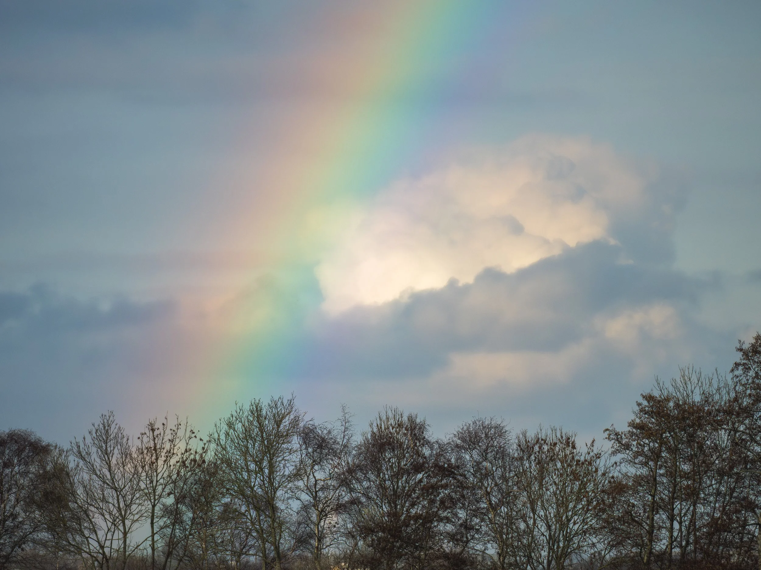 After rain comes sunshine, finally doing some bird photography and ...