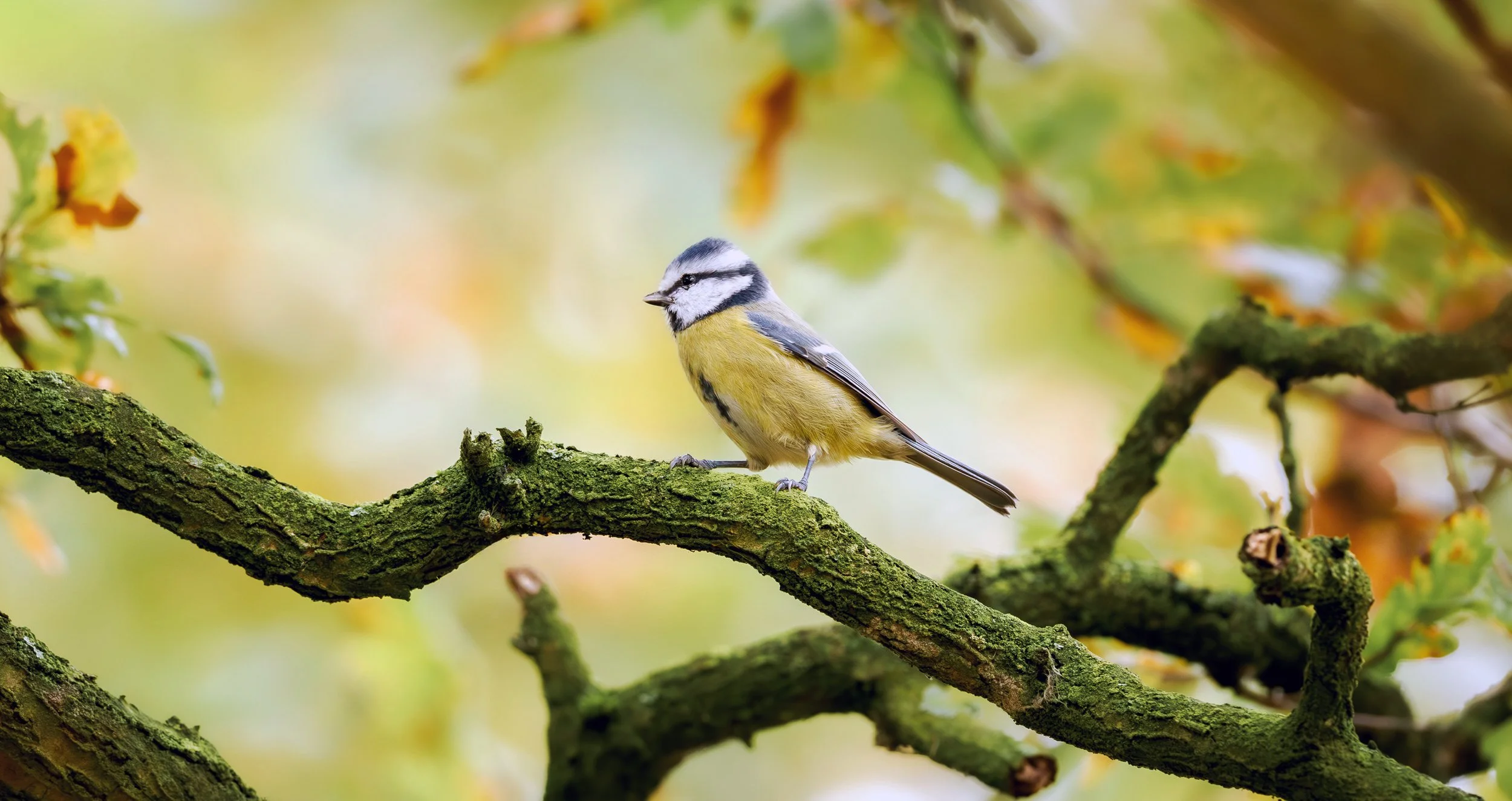 A hike after a long time - Nature reserve Kampina