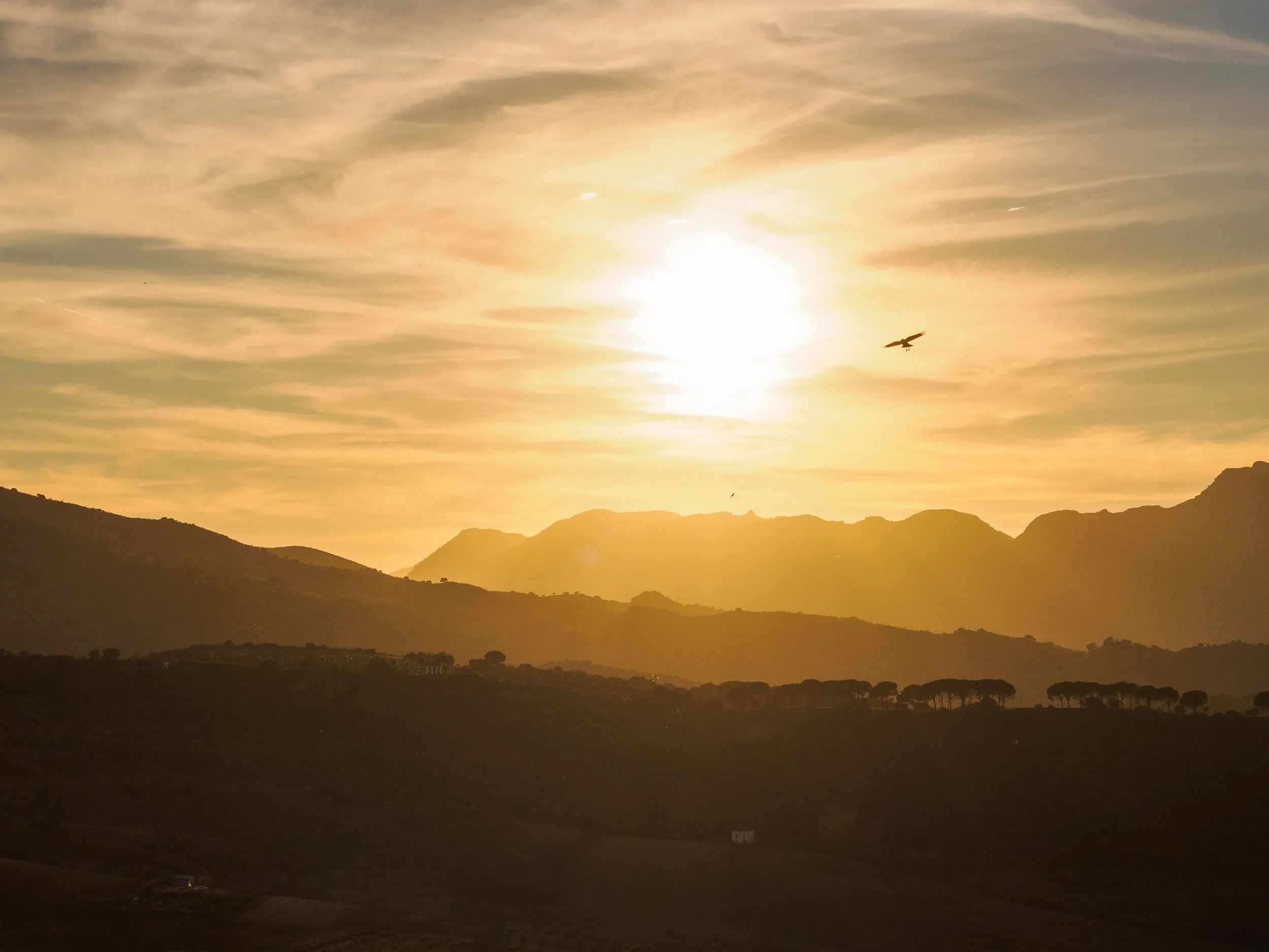 Wild-Andalusia (7 of 111).jpg