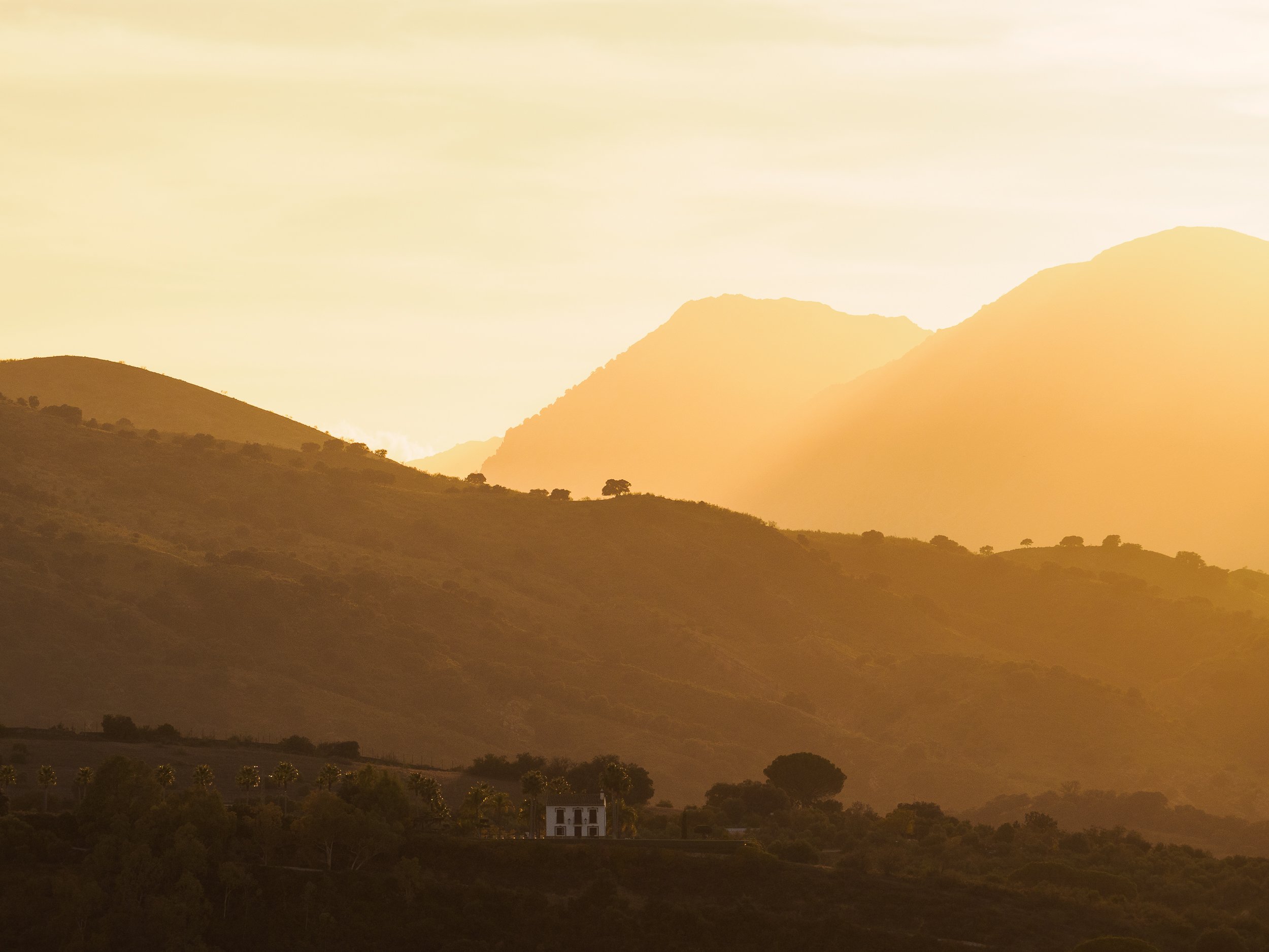 Wild-Andalusia (8 of 111).jpg