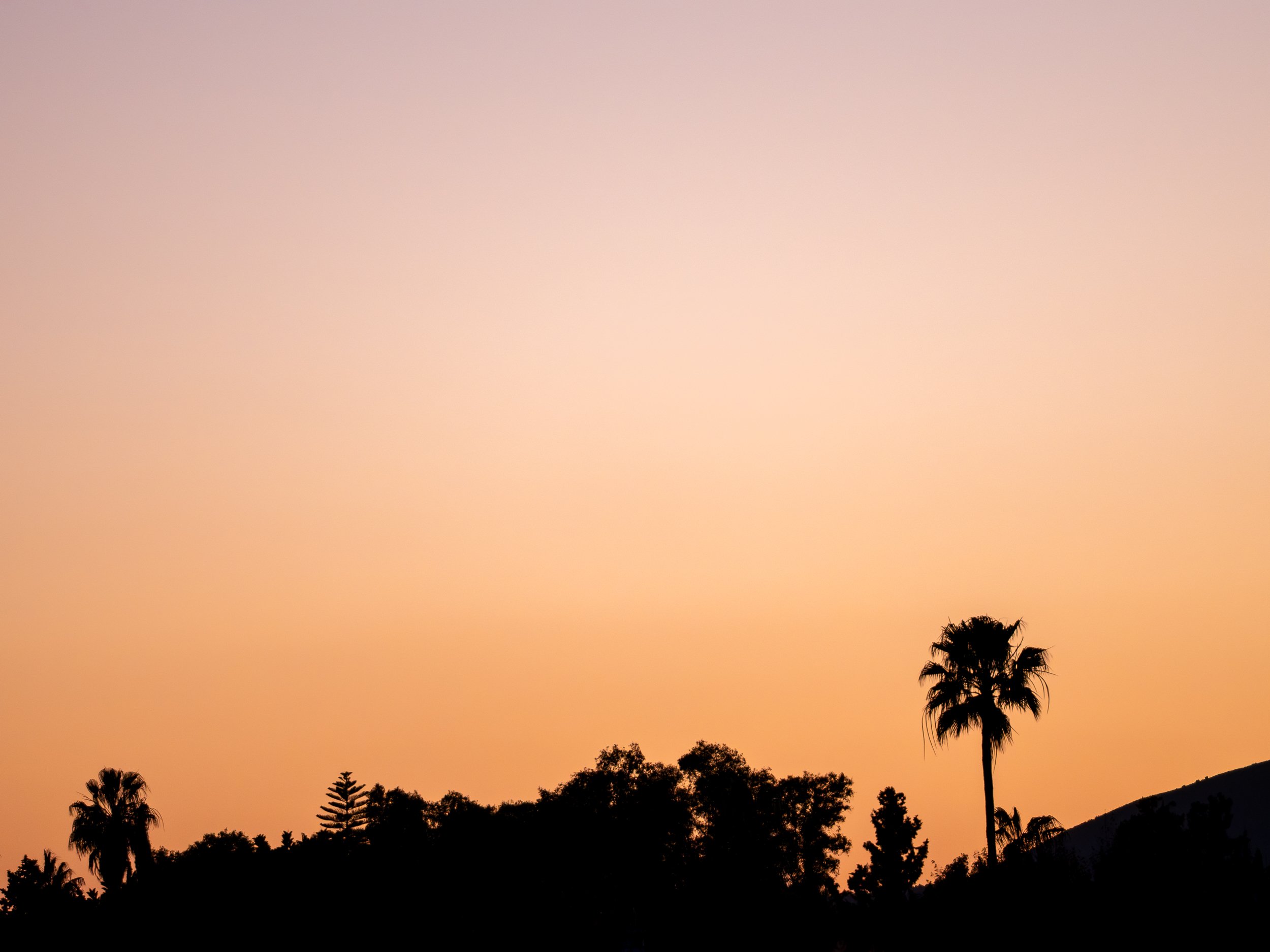Wild-Andalusia (110 of 111).jpg