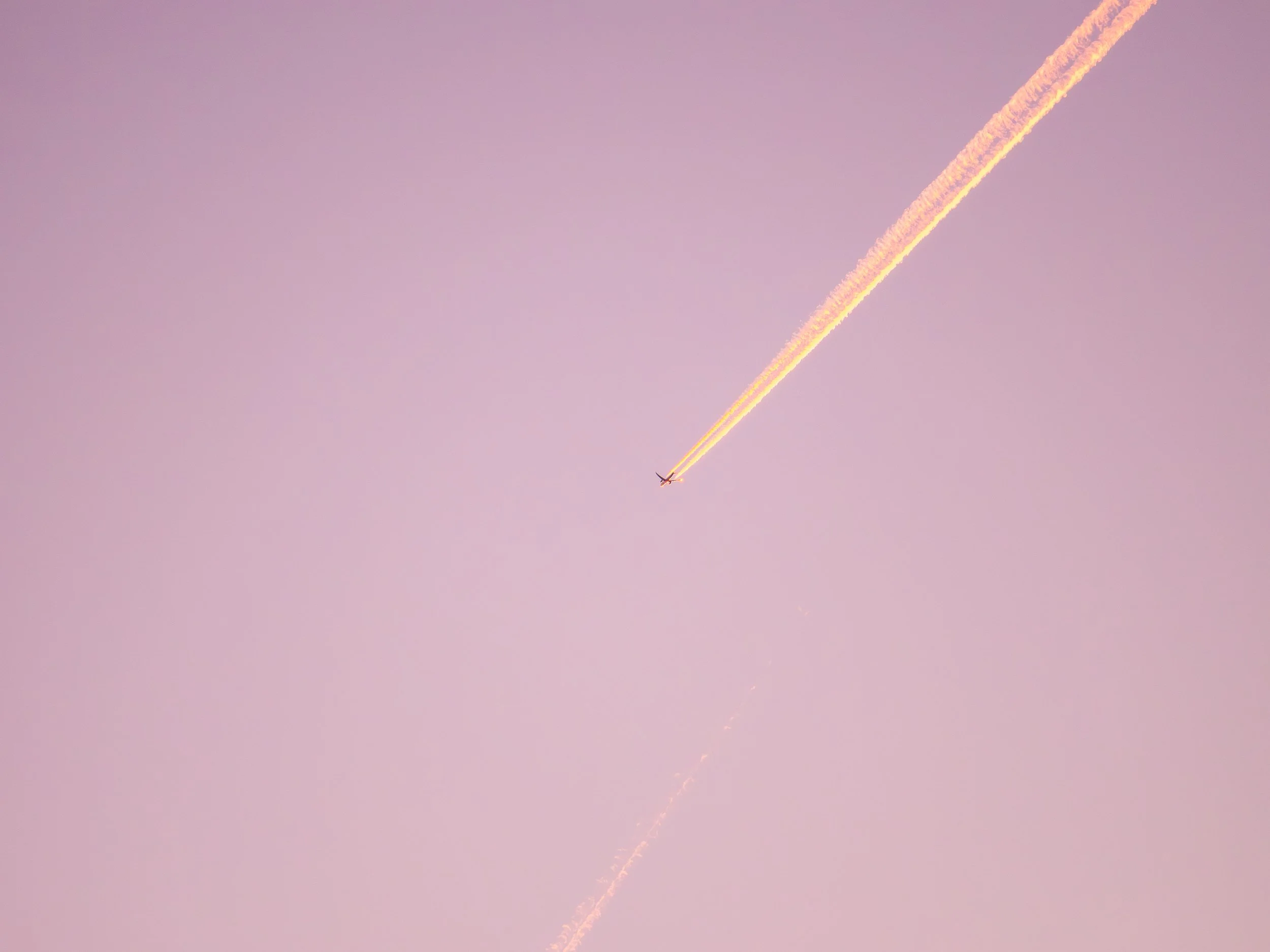 Wild-Andalusia (111 of 111).jpg