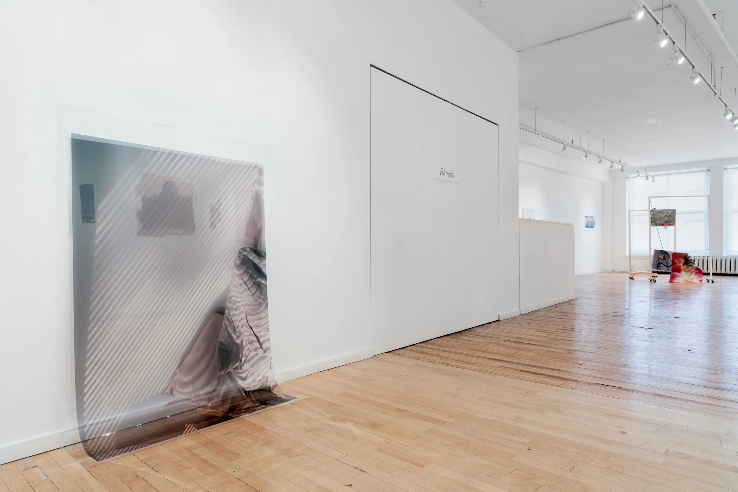 Group exhibition with works by Michelle Bui, Laura Findlay and Xan Shian. Curated by Joani Tremblay and Julie Côté at Galerie Projet Pangée, Montreal, Canada. 2017.