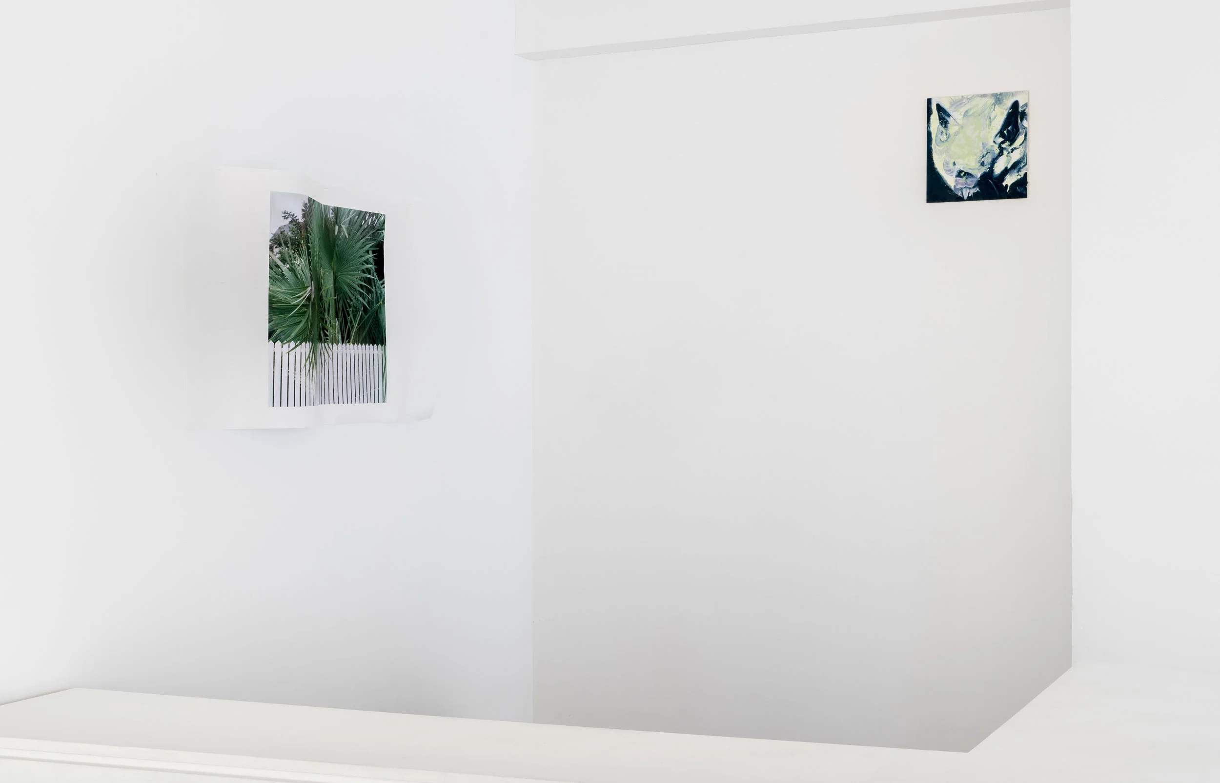 Exhibition view.