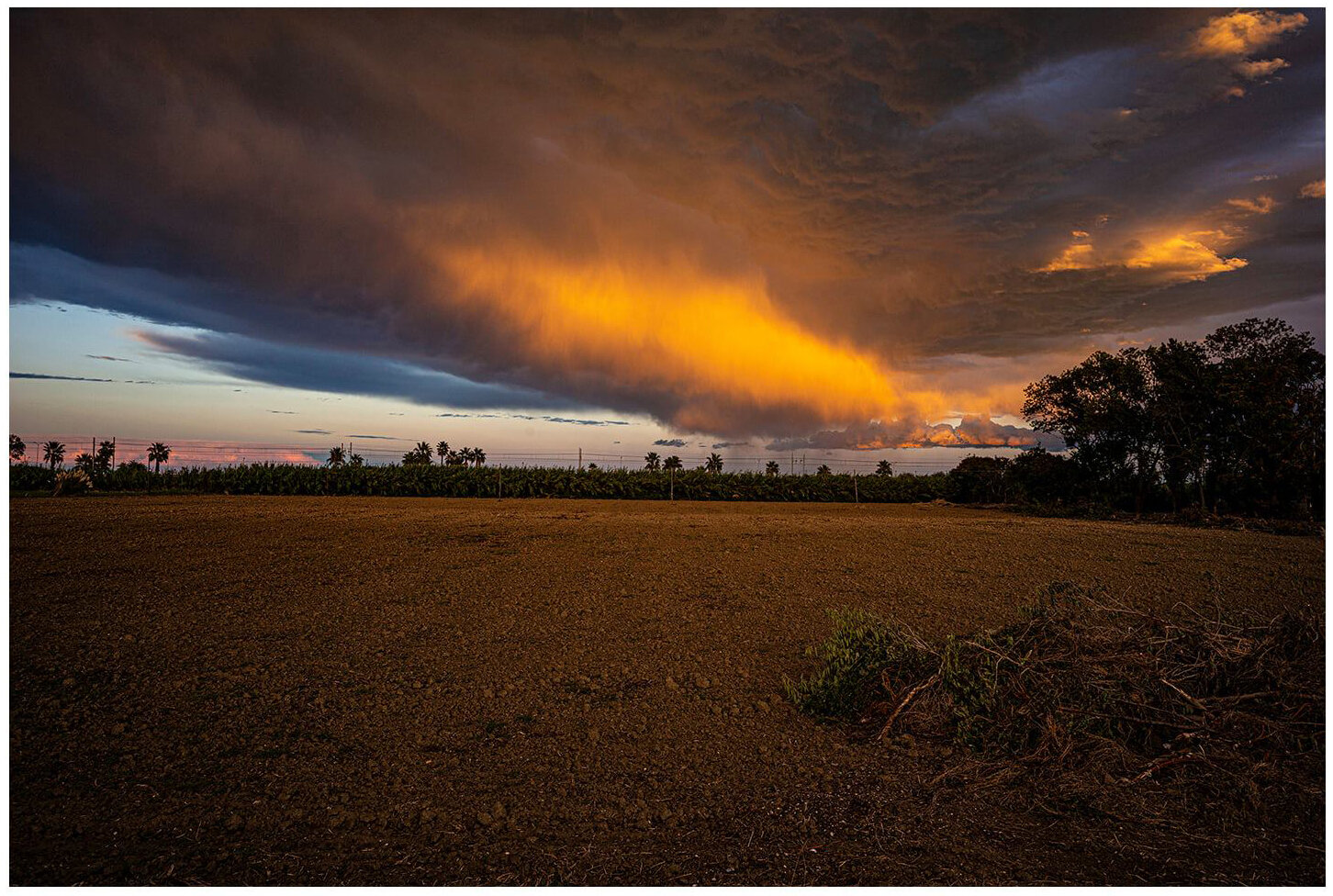 The Good Storm