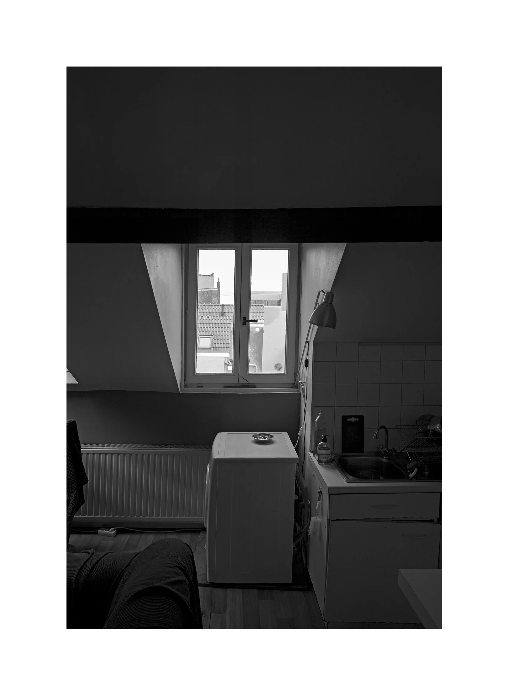 L1008419 copia.jpg
