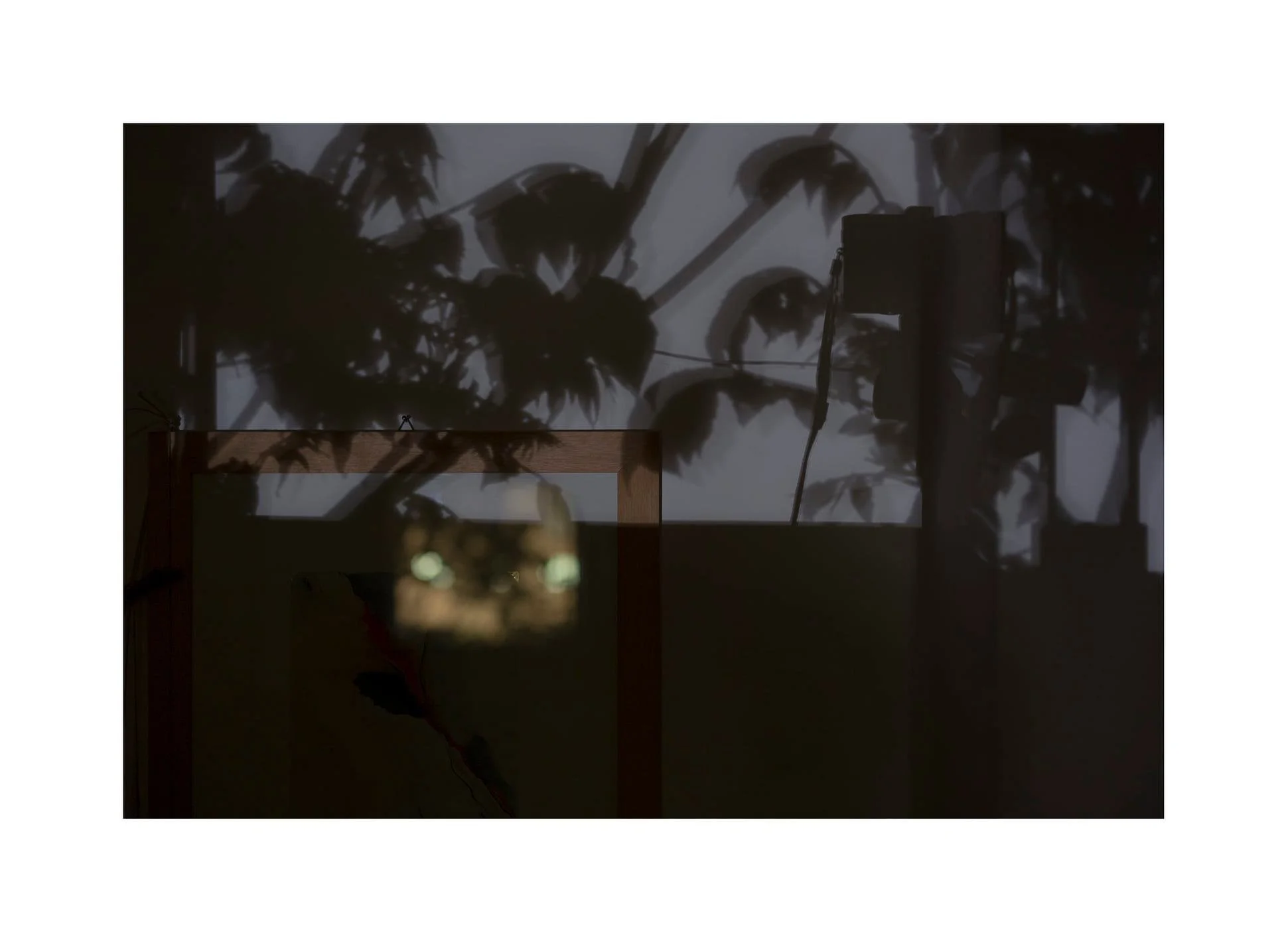 Night - After a Ken Loach movie