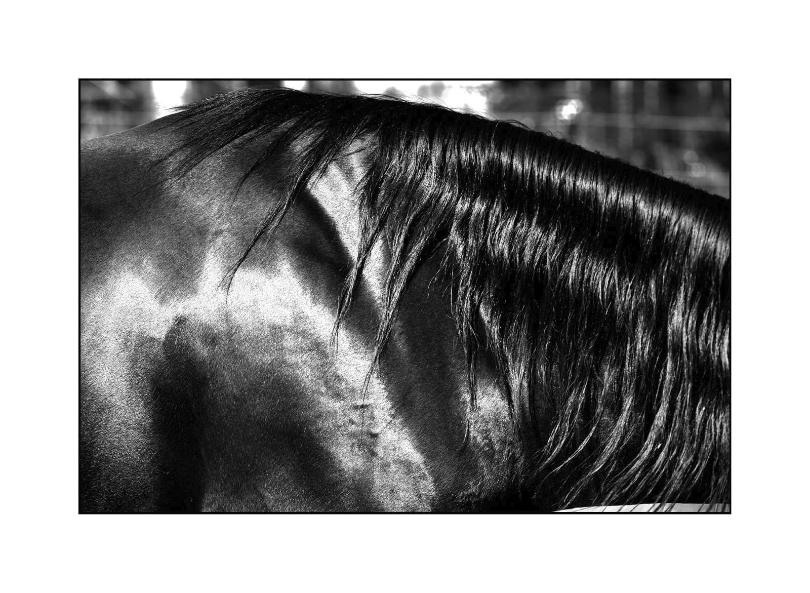 Cheval