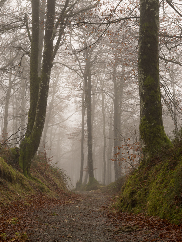 Pirineo Vasco / Basque’s Pyrenees