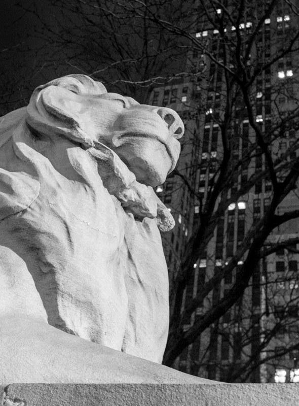 New York Public Library