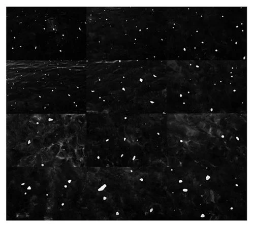 Celestial Mapping