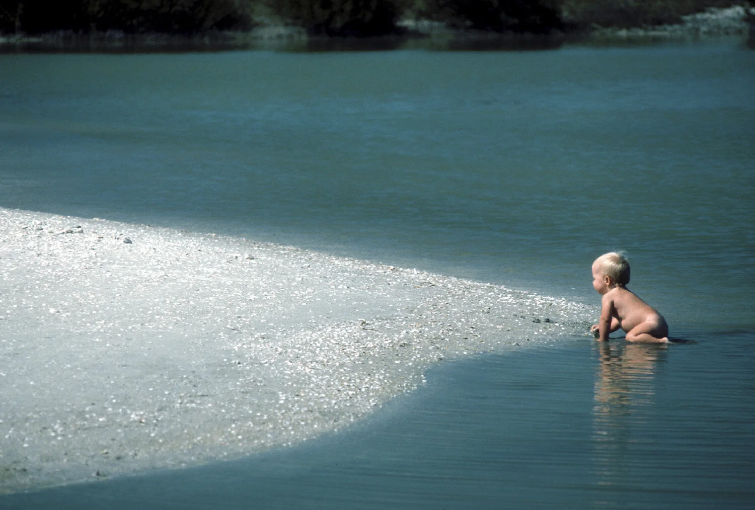 Water Baby, Tampa .jpg