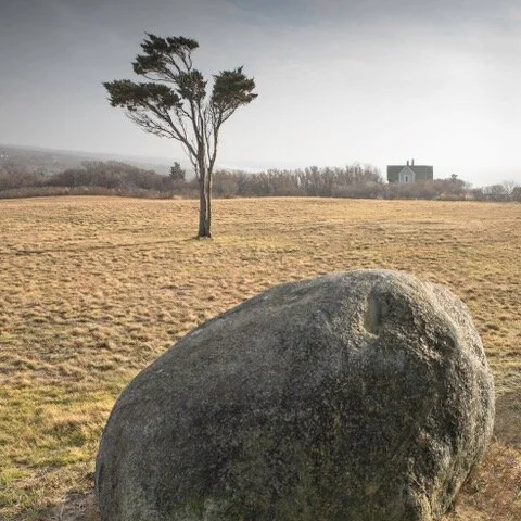 Gay Head Rock5 crop.jpeg