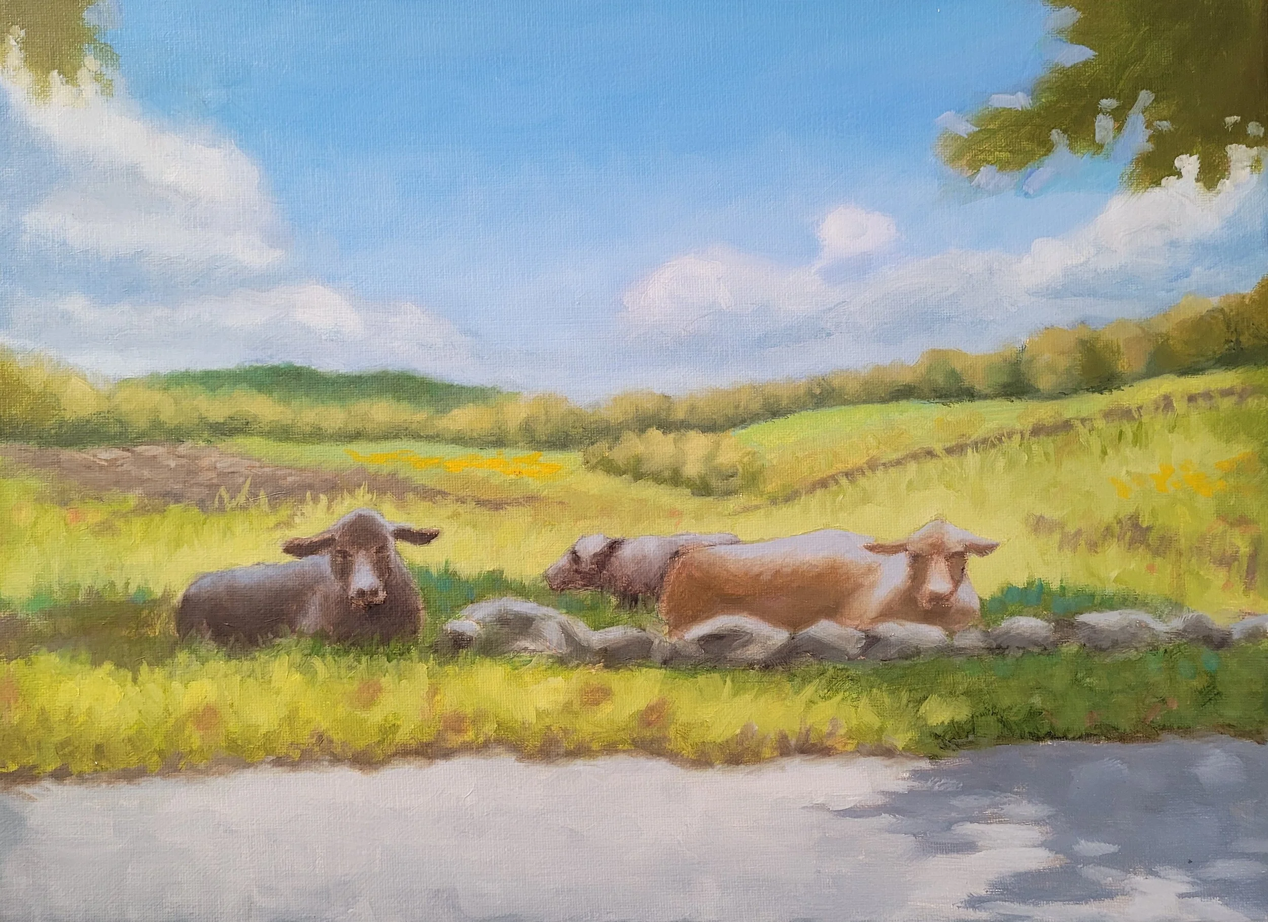 The Cows of Moose Meadow Rd..jpg