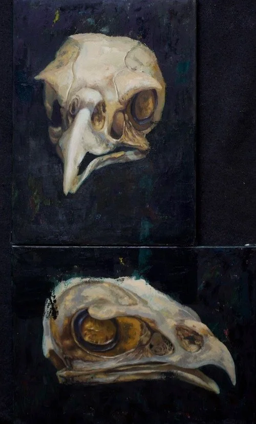 FB_Hawk Skull.jpeg