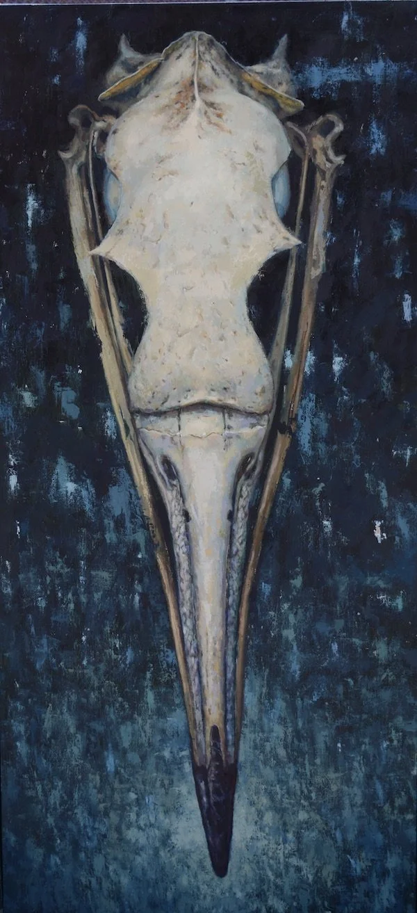 FB_Seagull Skull.jpeg