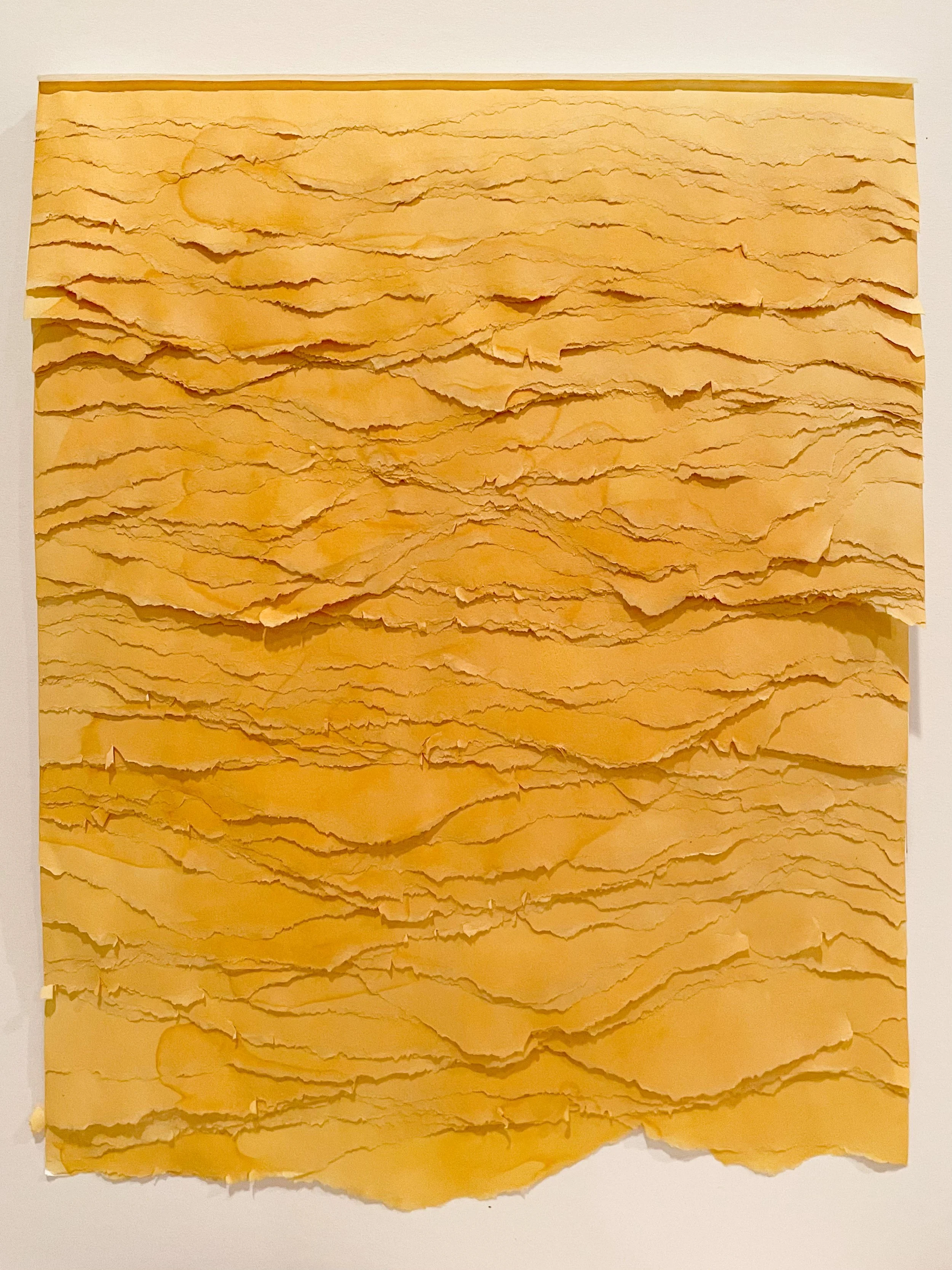  Mary Janacek On A Scale of 1-10 Turmeric, rubbing alcohol, torn sketchbook 12” x 9” inches $300 