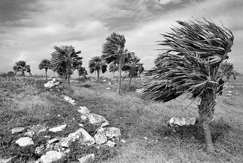10.Coastal+Palms,+Tulum,+Mexico+copy.jpg