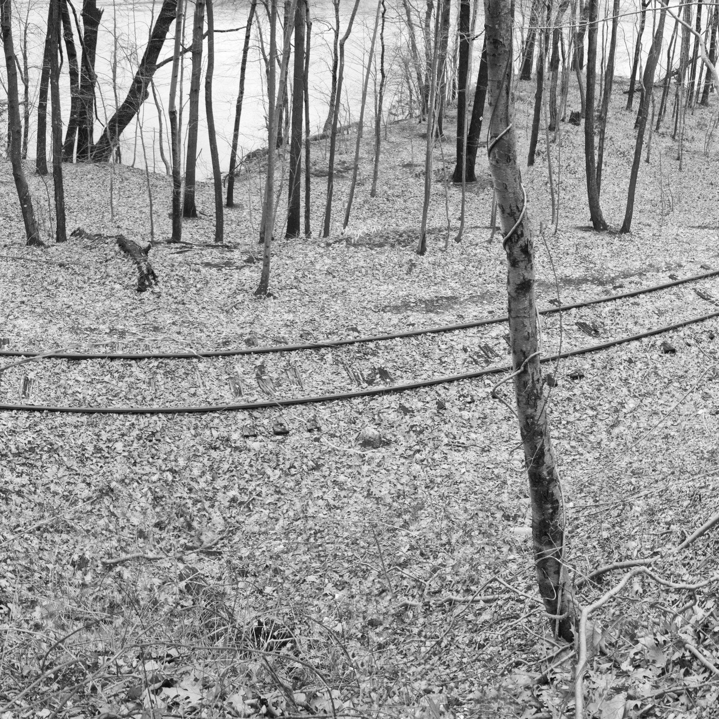 &quot;Side of the Tracks&quot; (crop) by Marjorie Wolfe, gives us a sense of quiet adventure,as we follow the tracks leading across the page and out into..? ⁠
Part of her exhibition &quot;Wide Open&quot; on view until June 22.⁠
.⁠
.⁠
.⁠
.⁠
.⁠
#kehler