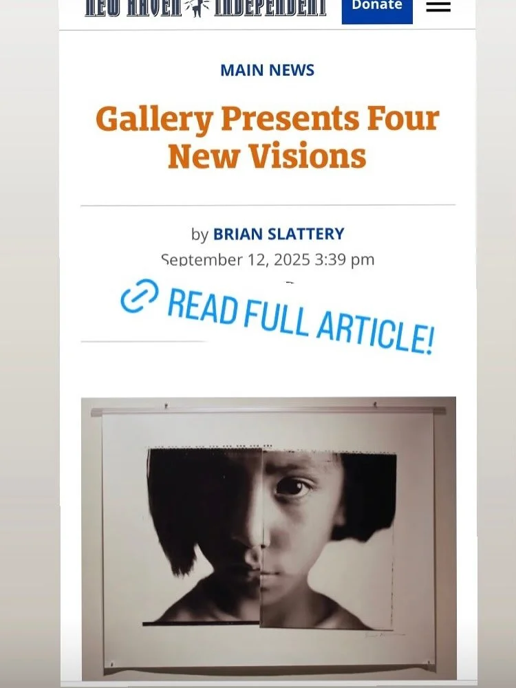 You have about a week left to experience the juiciness of these 4 artists together! Go to our story today for the direct link to full article by @brianslattery75 @maryburke.art @seankernan @dganitzauberman @cfredsculpt  the NEW MEMBERS show comes dow