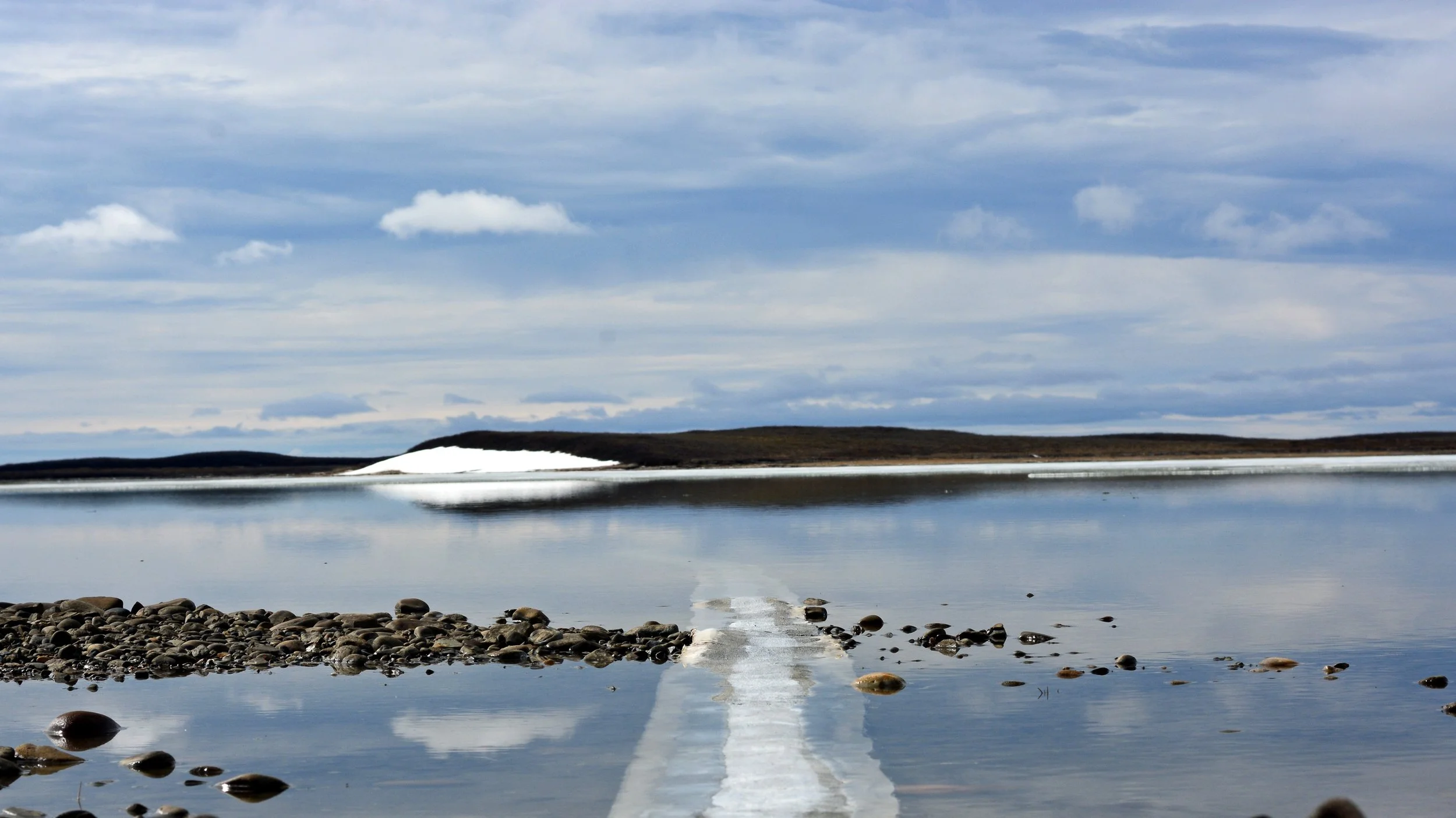 Huber_Arctic_01.jpg