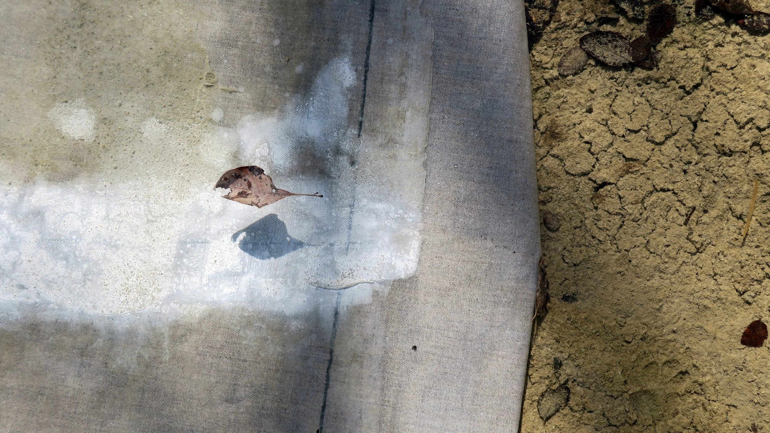 Huber_Canvas in Guadelope River TX with floating Leaf.jpg