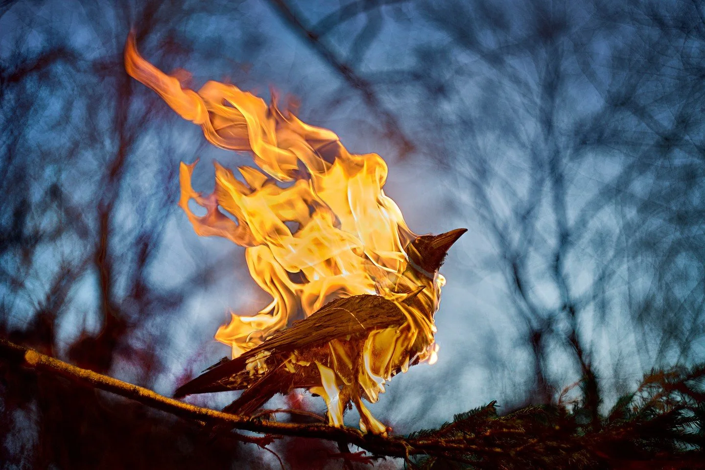 Putting together an exhibit and the work of 2 or so artists requires huge curation skills and we have it! ⁠
⁠
Notice how these very different pieces work together. Lots of attention goes into hanging the show so you the viewer can really see the work