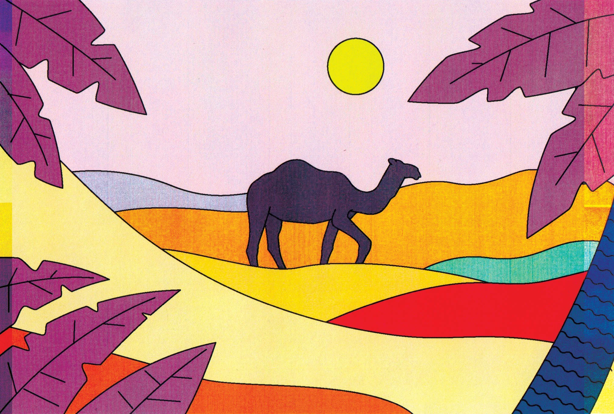Camel Final.jpg