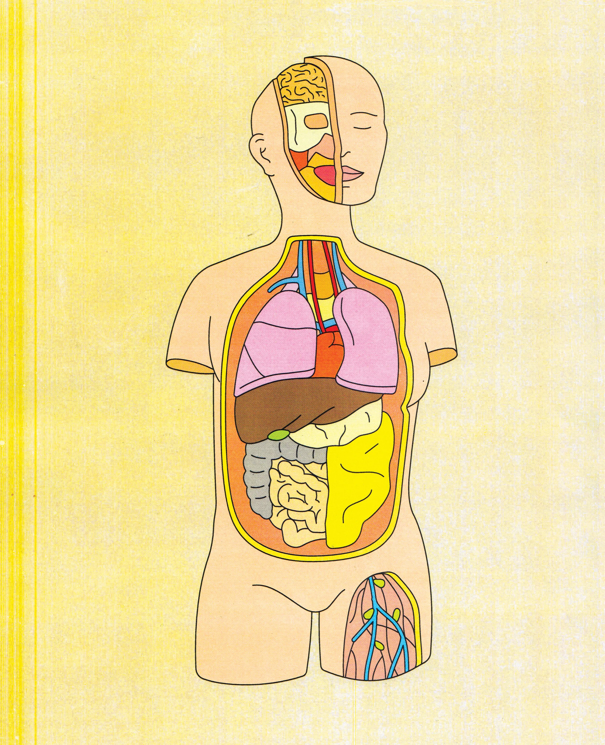 Organs_FullPage_Final.jpg